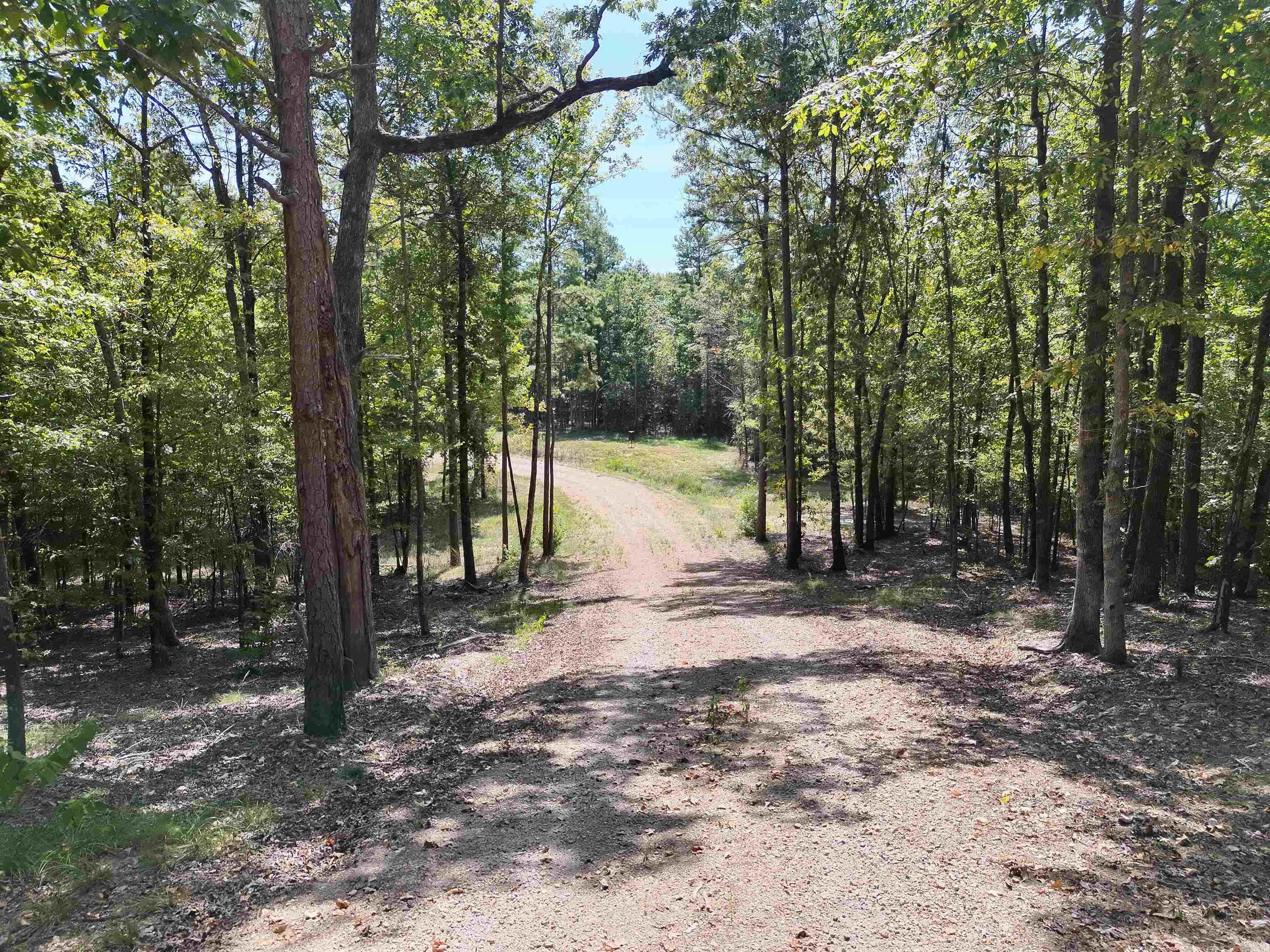 Tbd Pole Thicket Road Lot#wp00 Property Photo 21
