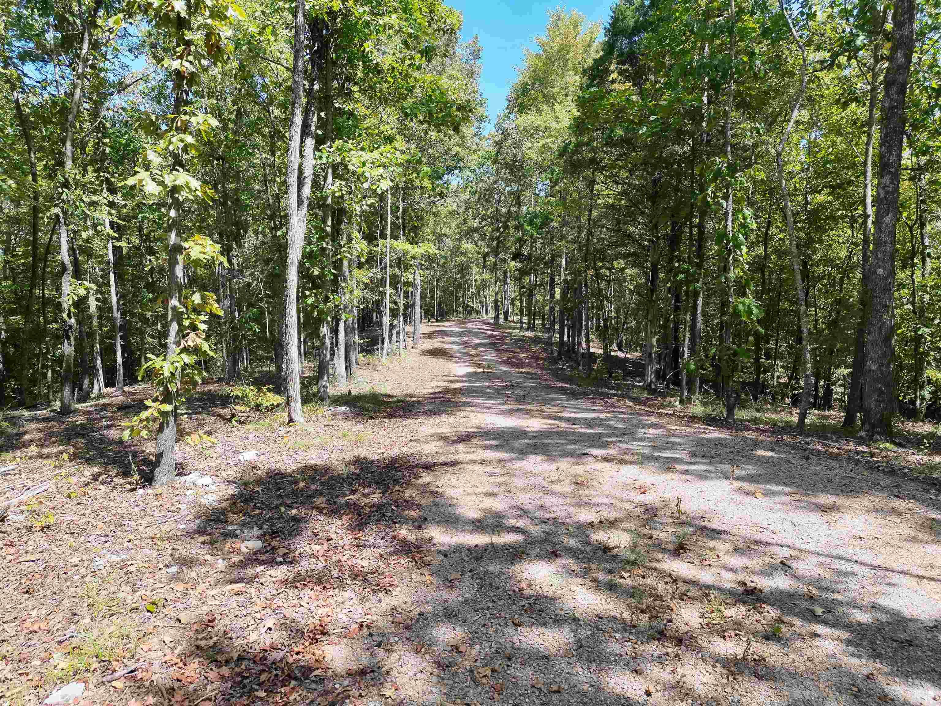 Tbd Pole Thicket Road Lot#wp00 Property Photo 22