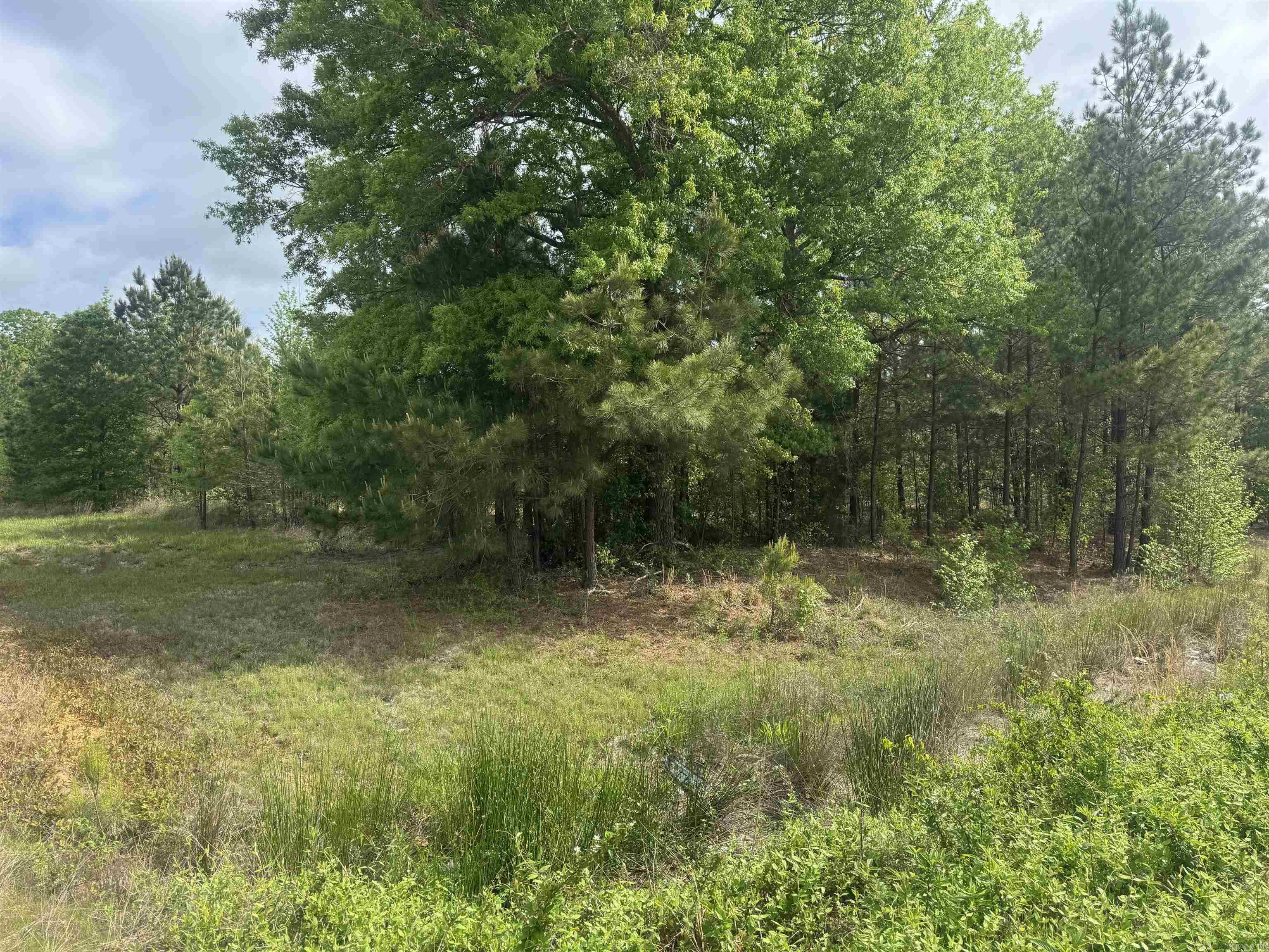 3010 E Woodson Lateral Rd Property Photo 15