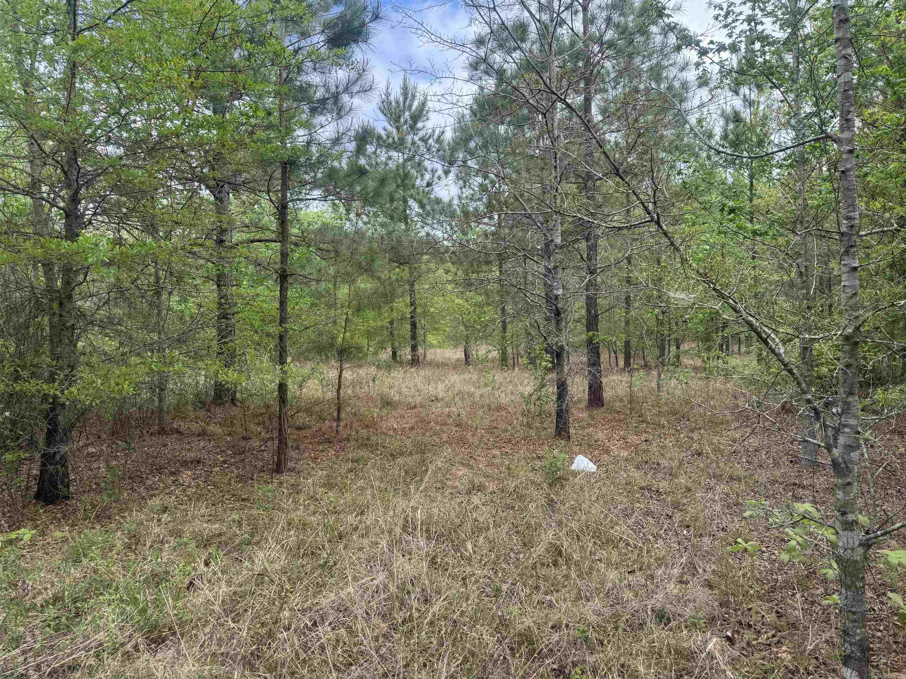 3010 E Woodson Lateral Rd Property Photo 17