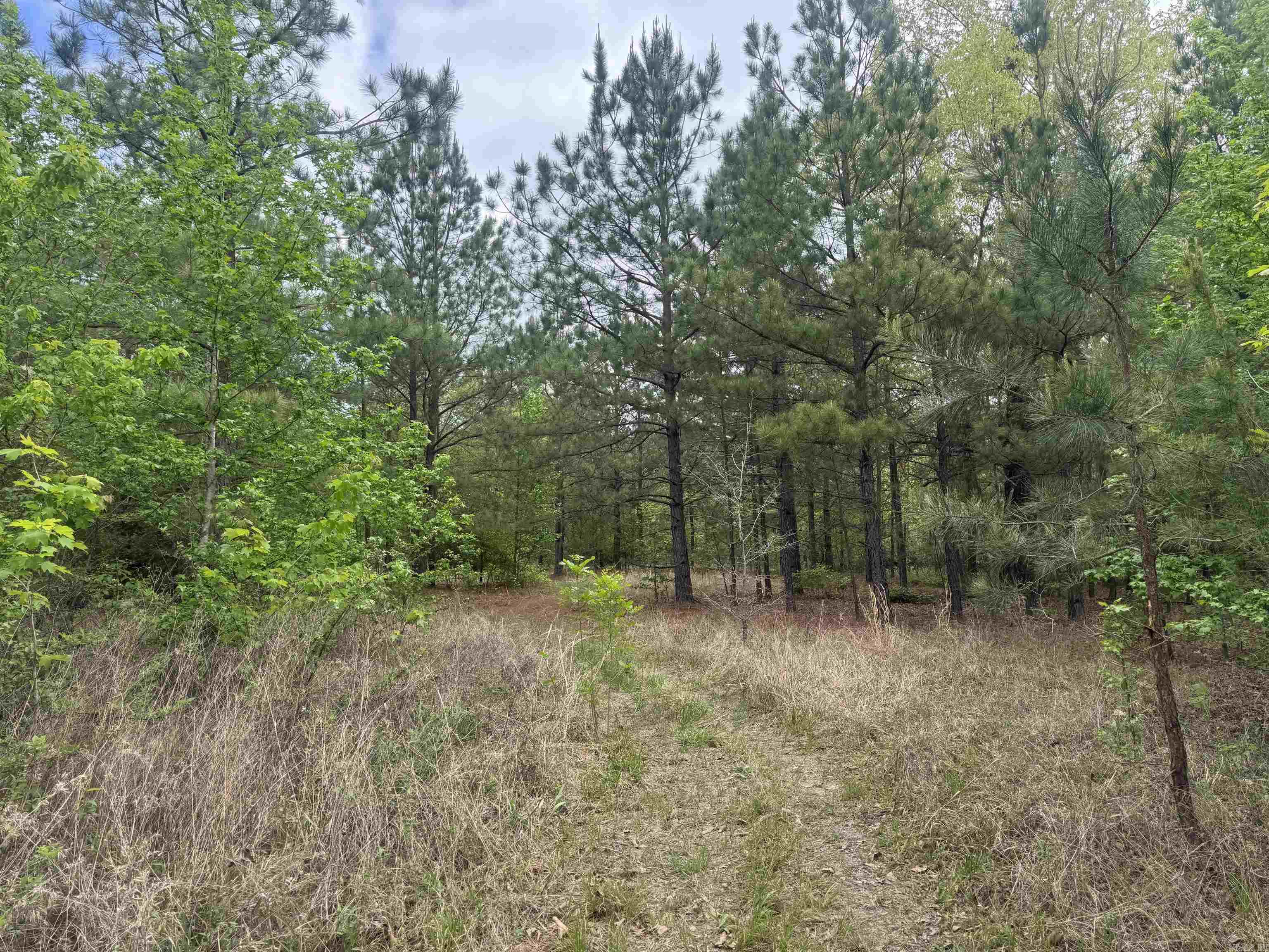 3010 E Woodson Lateral Rd Property Photo 18