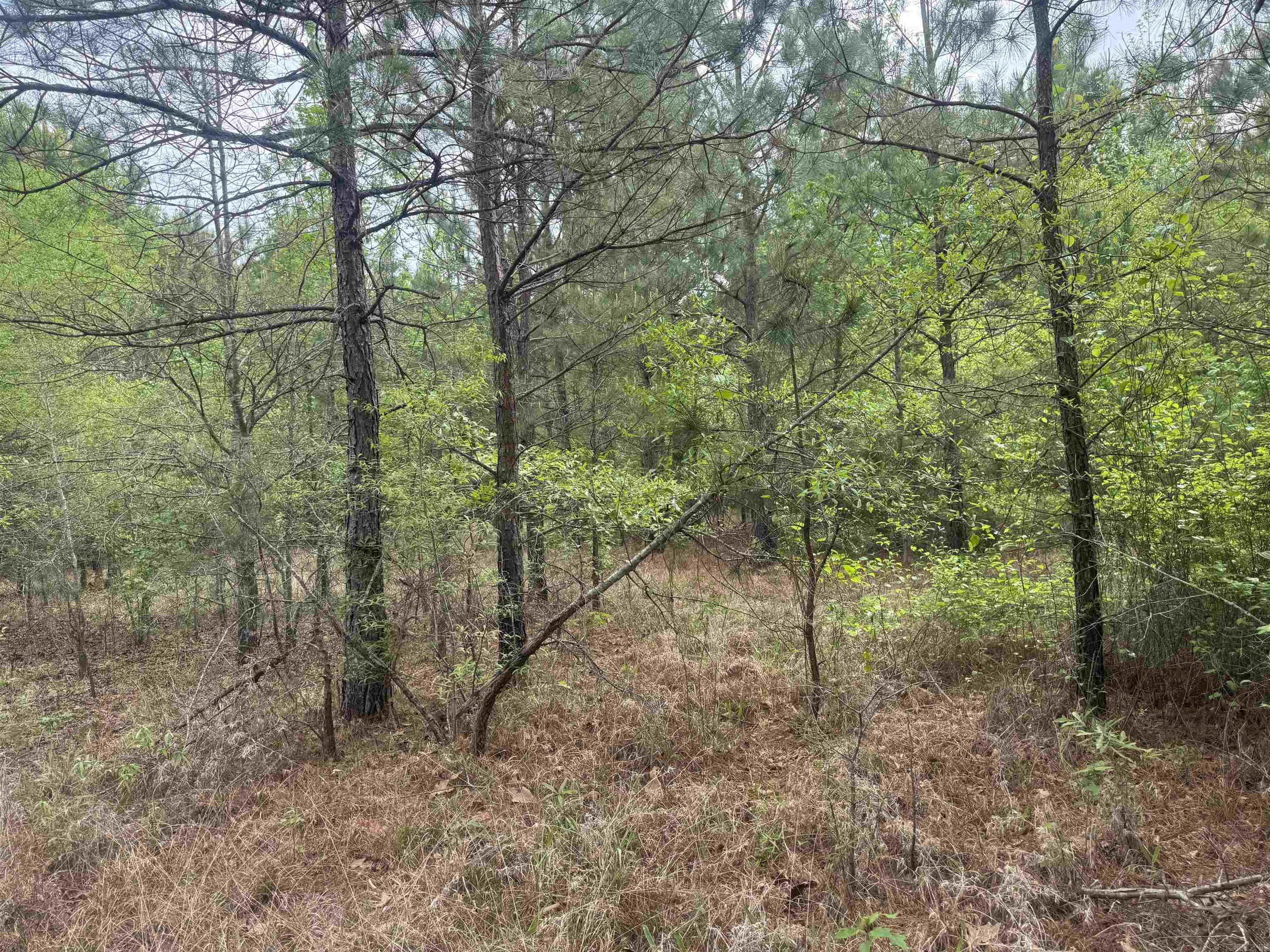 3010 E Woodson Lateral Rd Property Photo 20