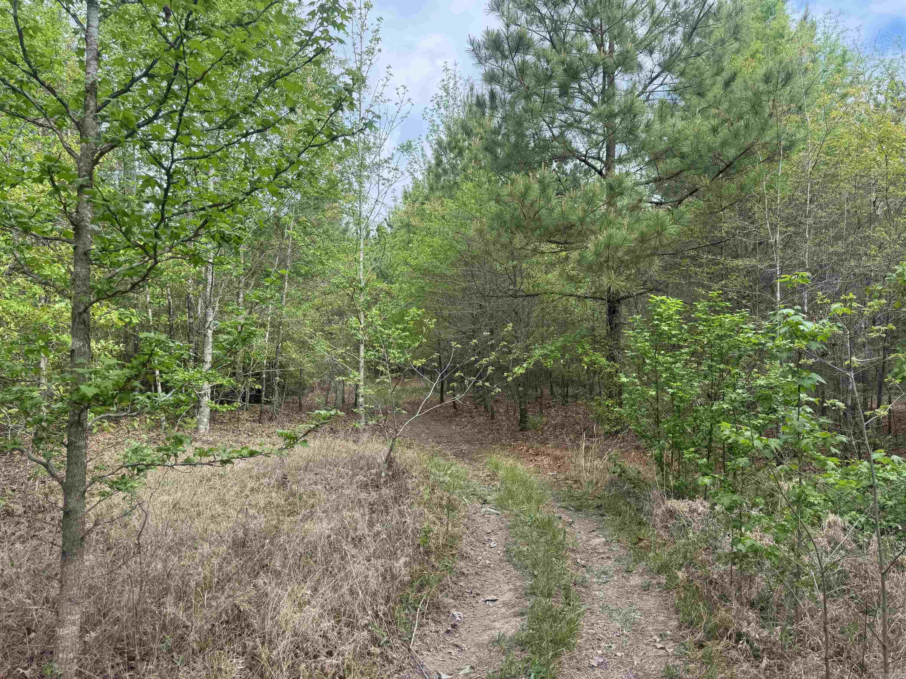 3010 E Woodson Lateral Rd Property Photo 21