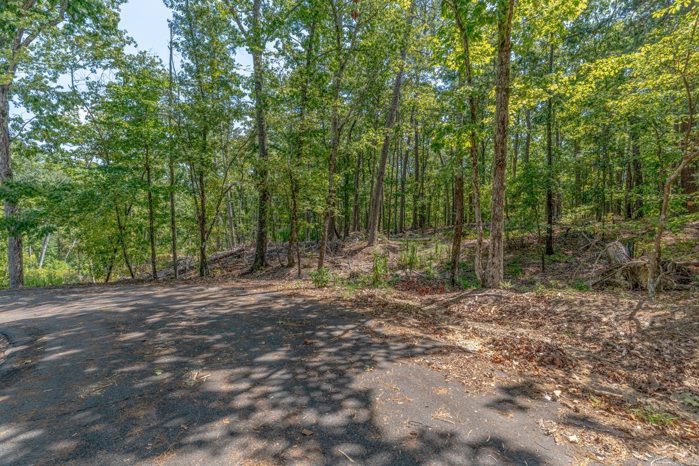 Tbd Mesa Ln Property Photo 1