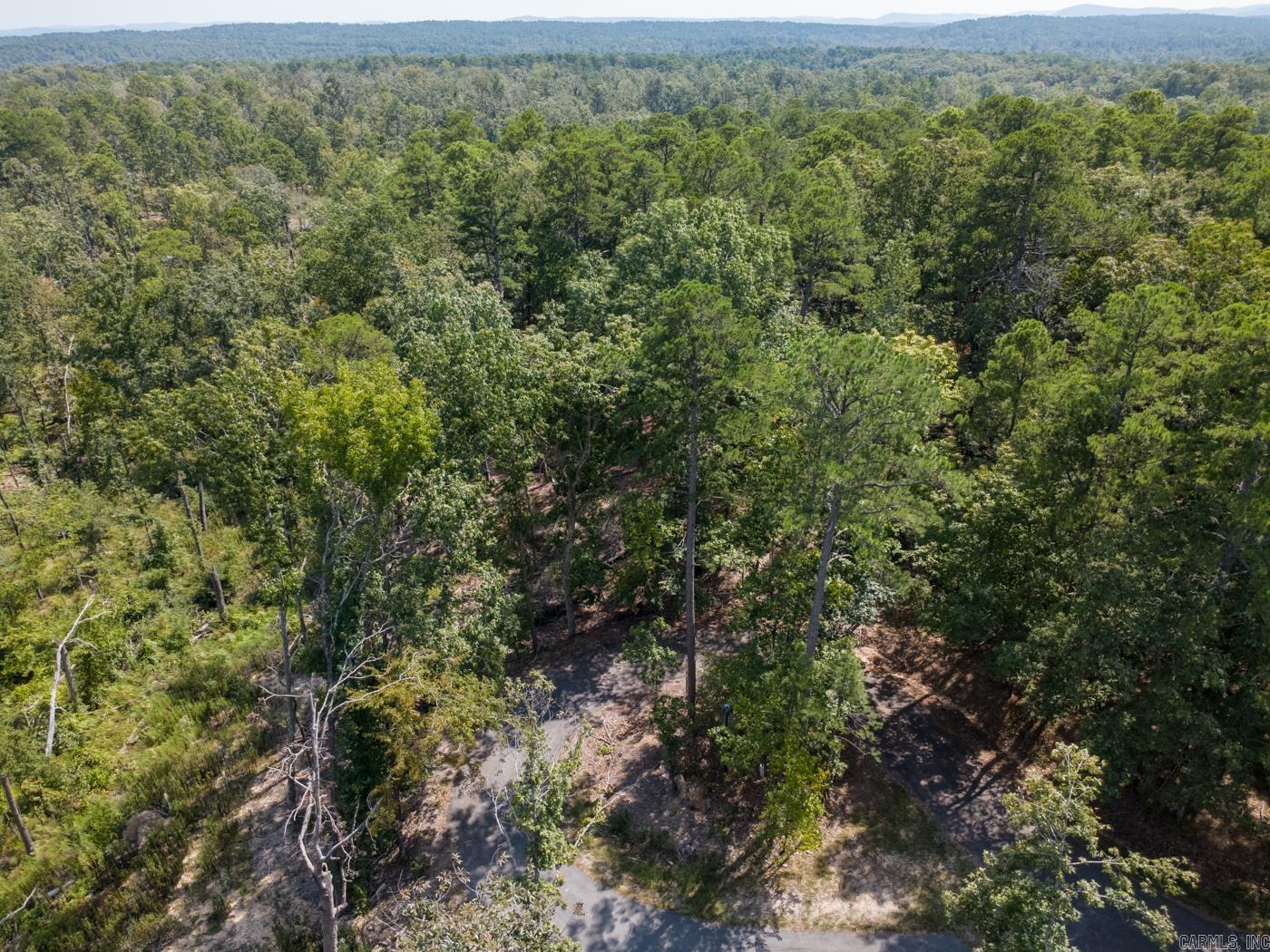 Tbd Mesa Ln Property Photo 2