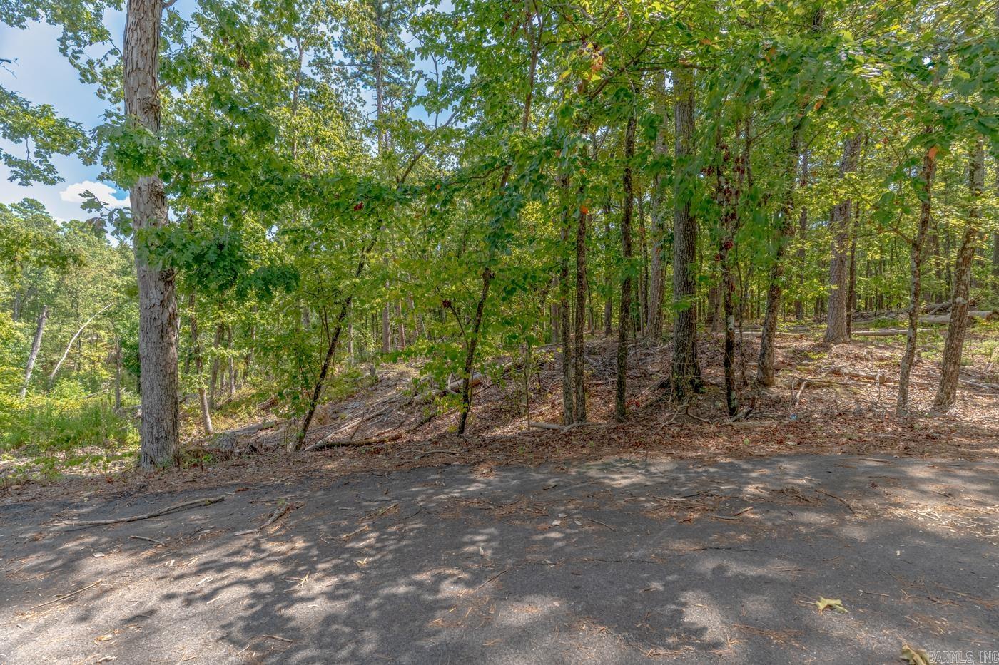 Tbd Mesa Ln Property Photo 3
