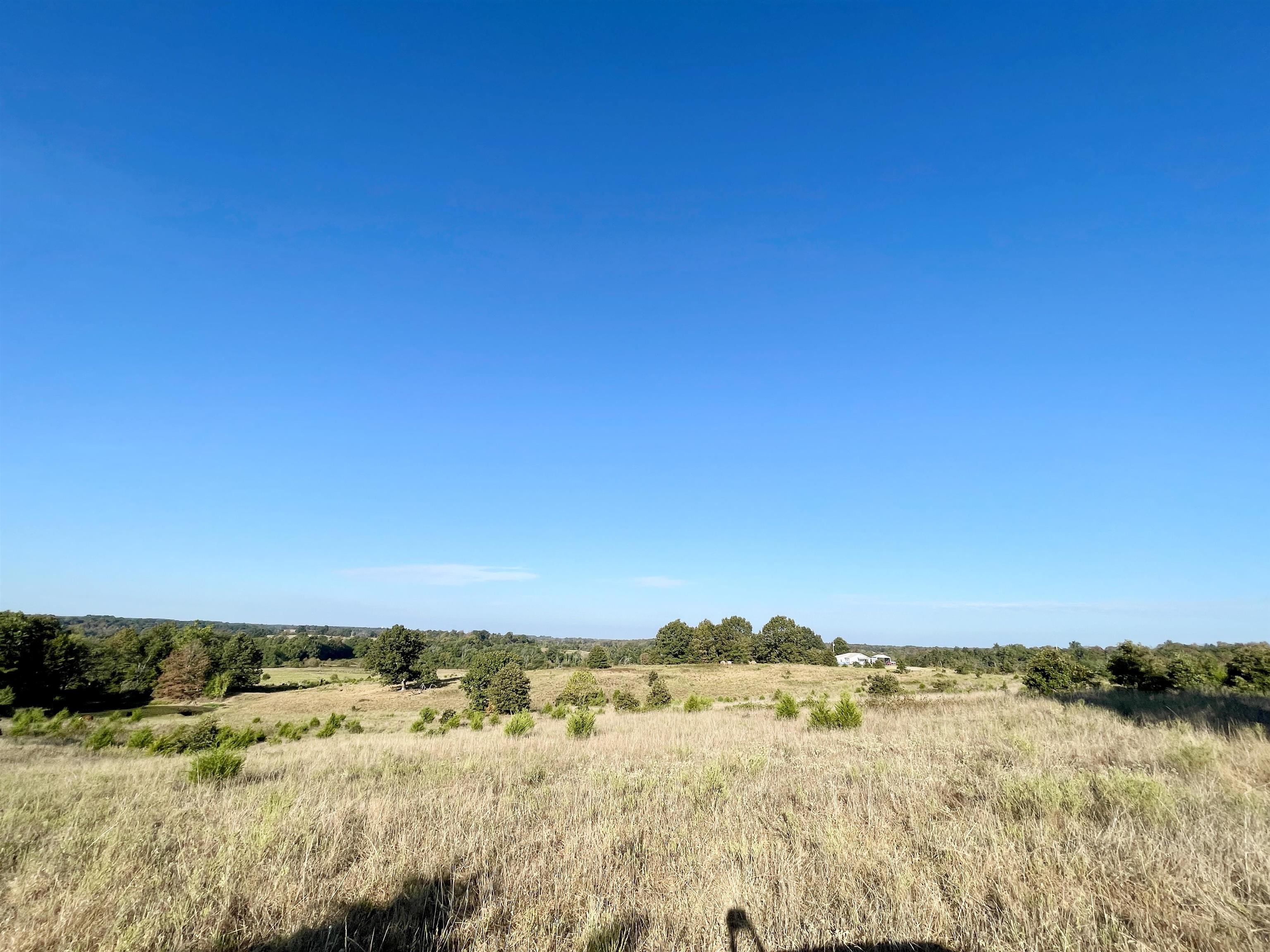 3169 Fairview Road Property Photo 3