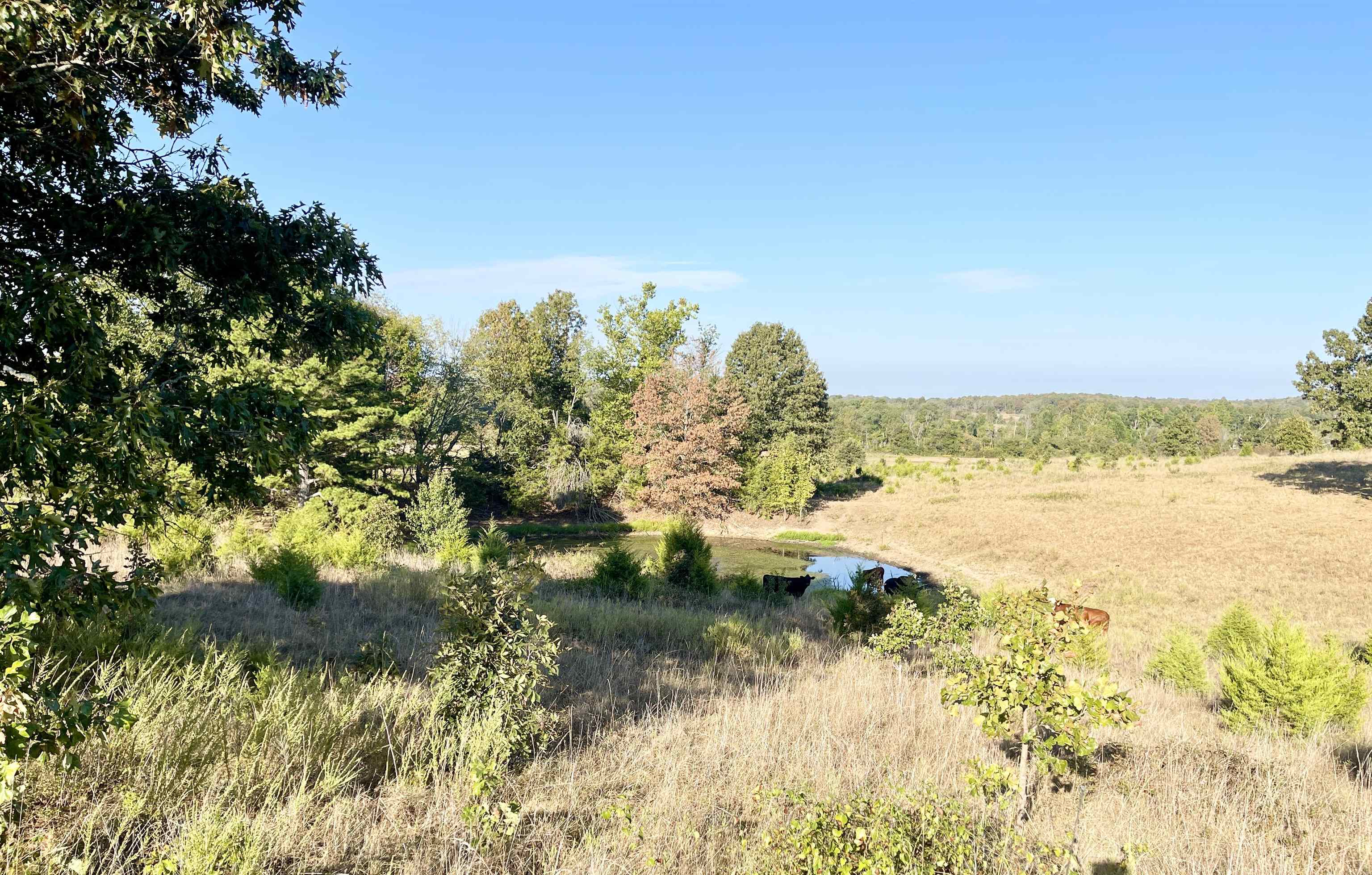 3169 Fairview Road Property Photo 39