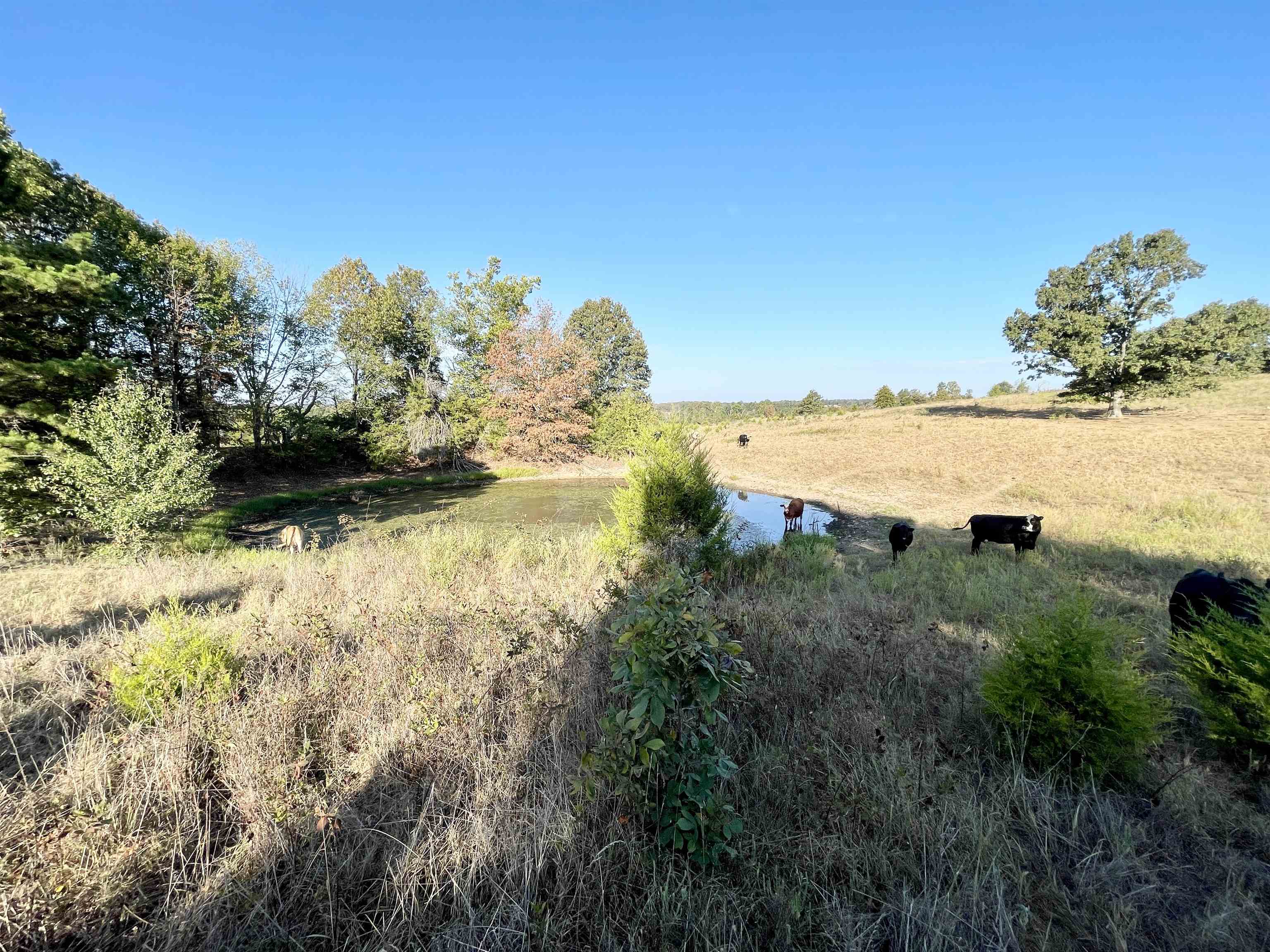 3169 Fairview Road Property Photo 40