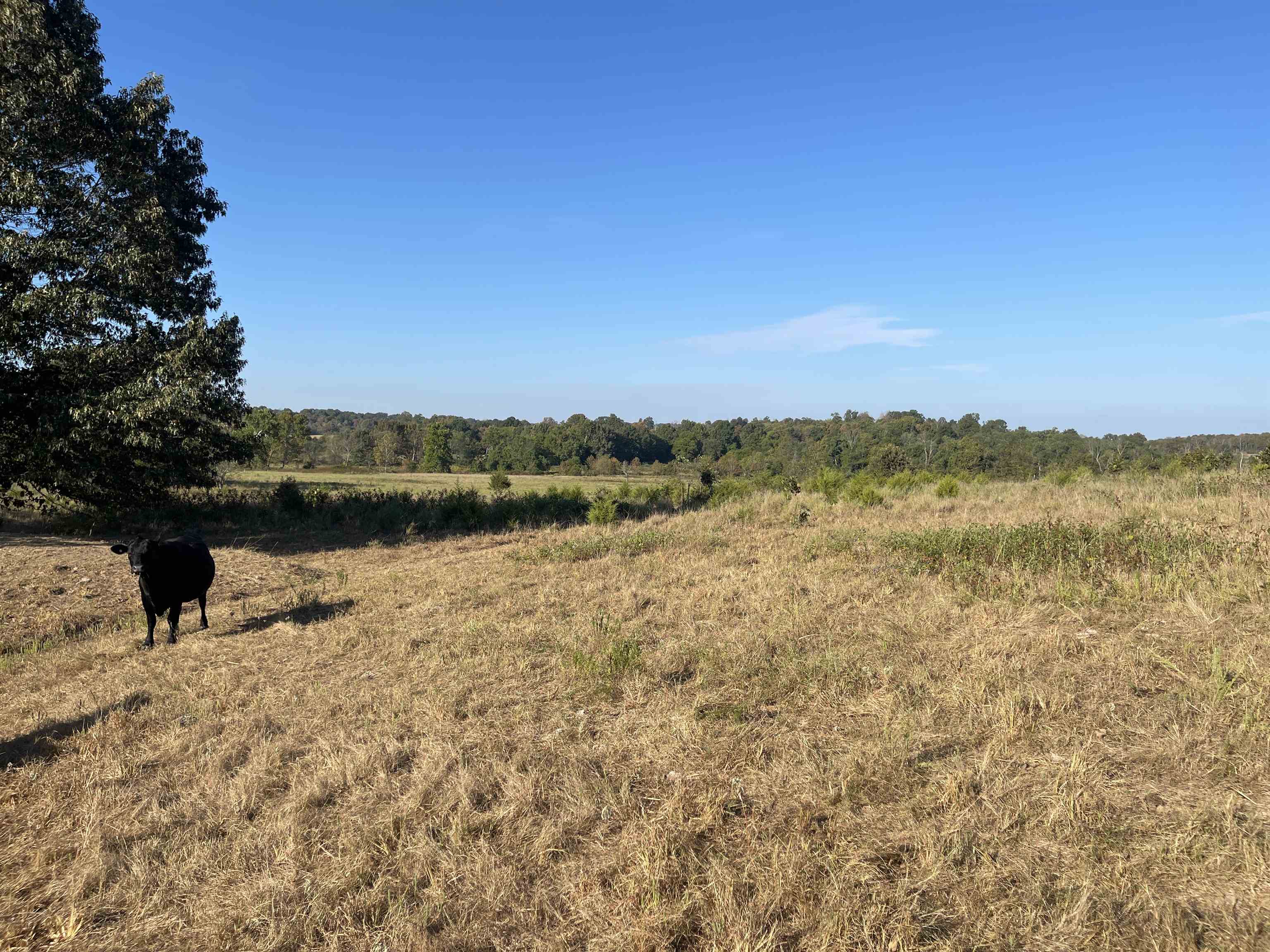 3169 Fairview Road Property Photo 45