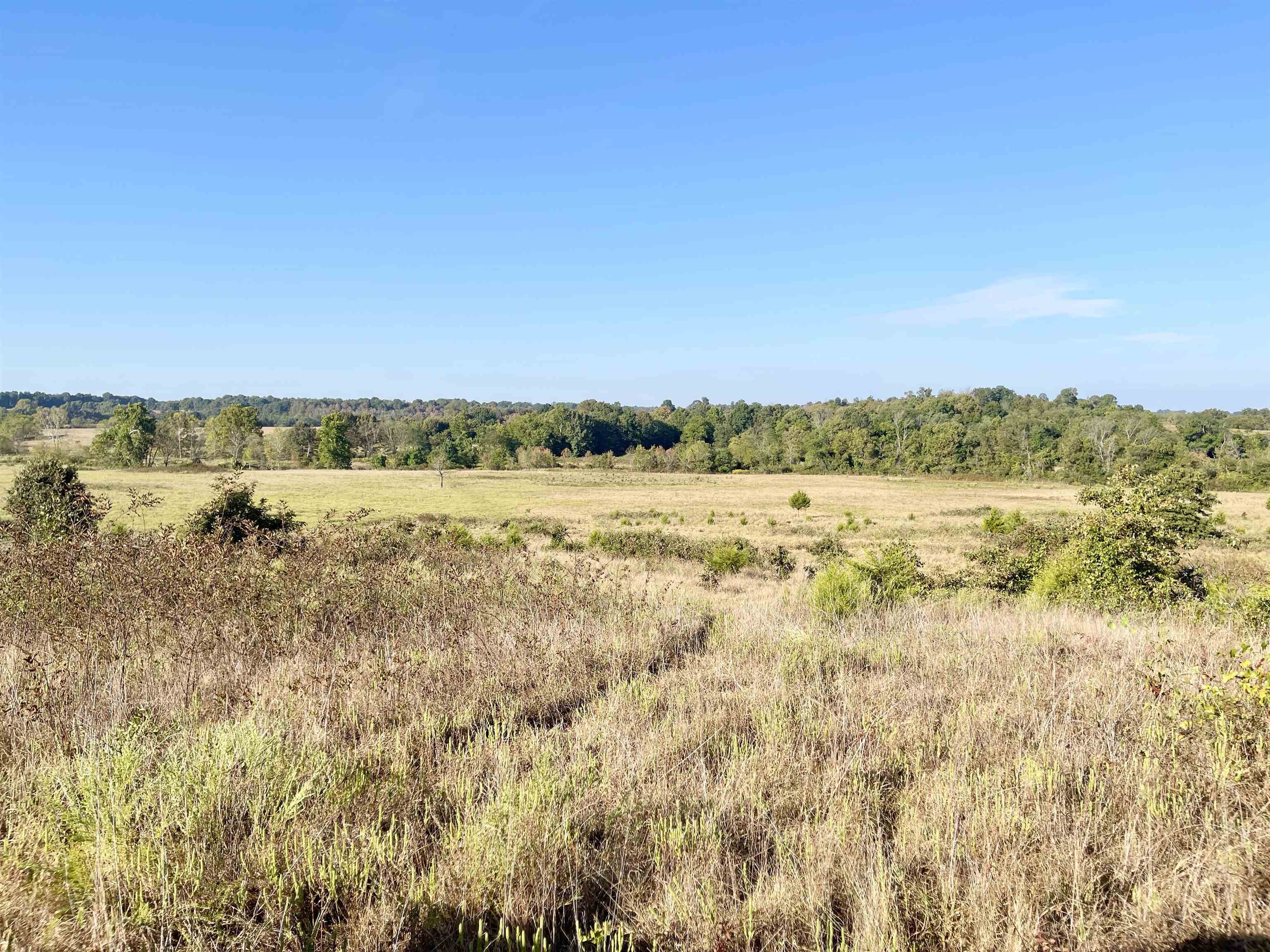3169 Fairview Road Property Photo 47
