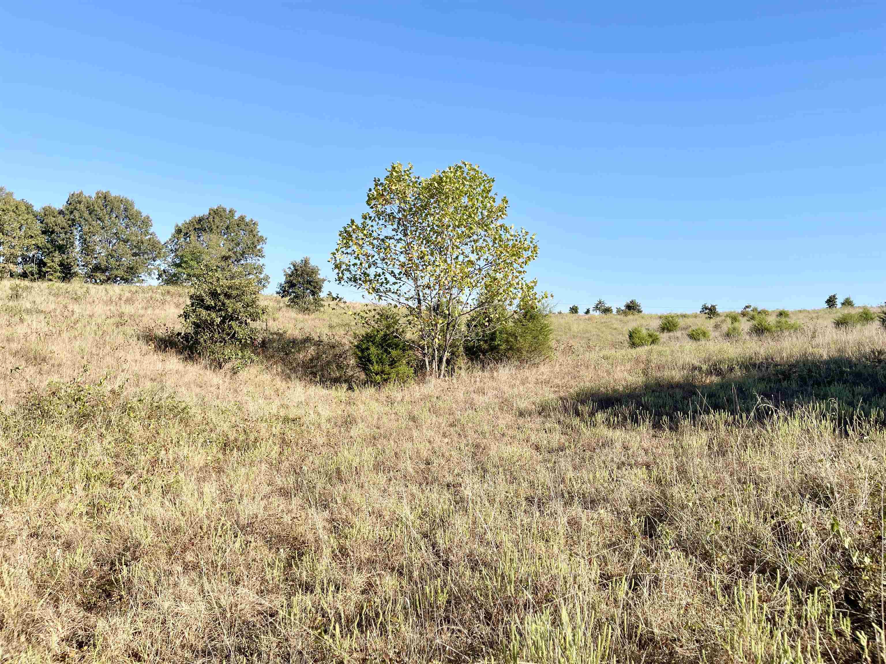 3169 Fairview Road Property Photo 48