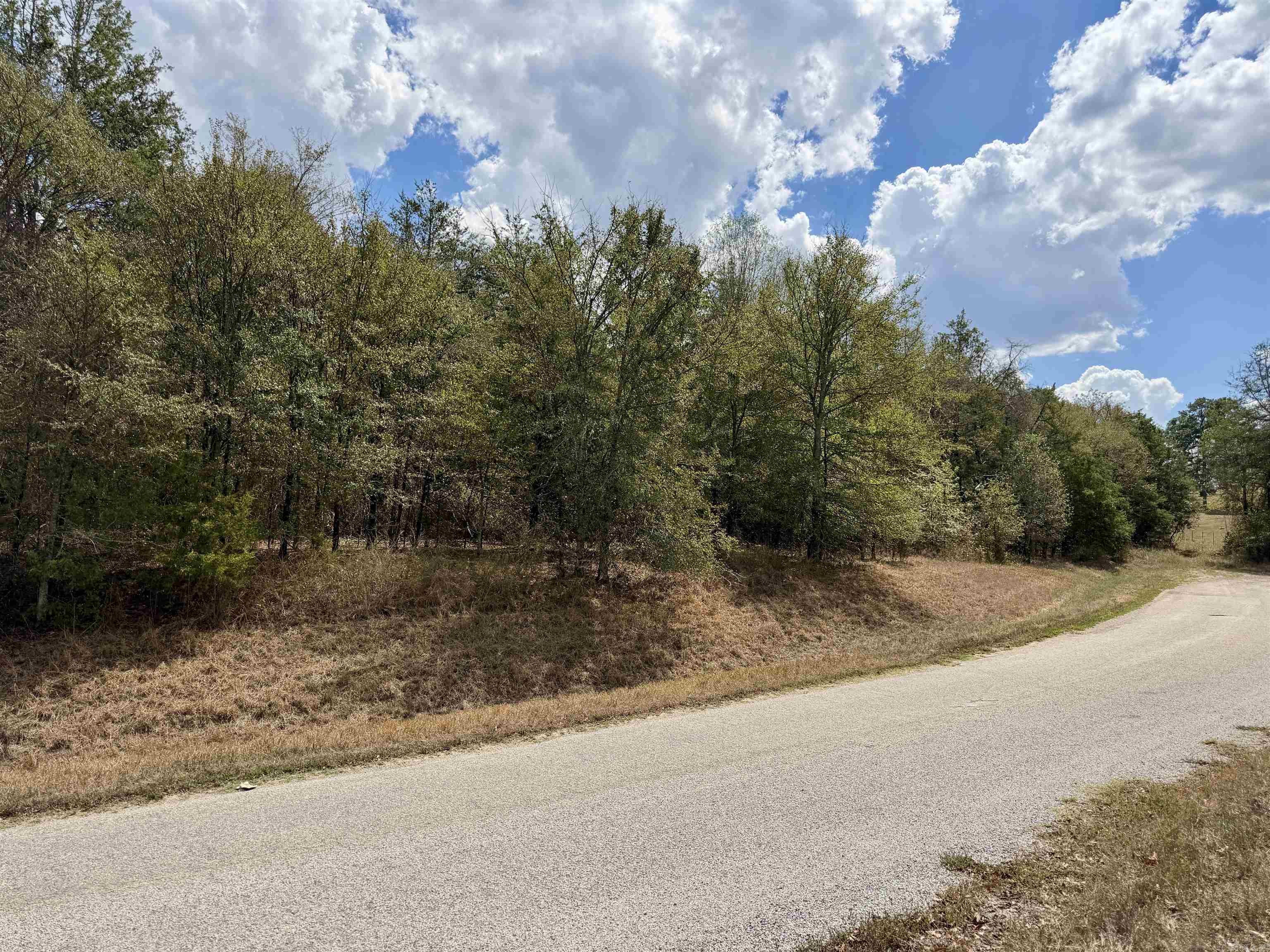 8.29 Acres Whitson Lane (tract 1) Property Photo 8
