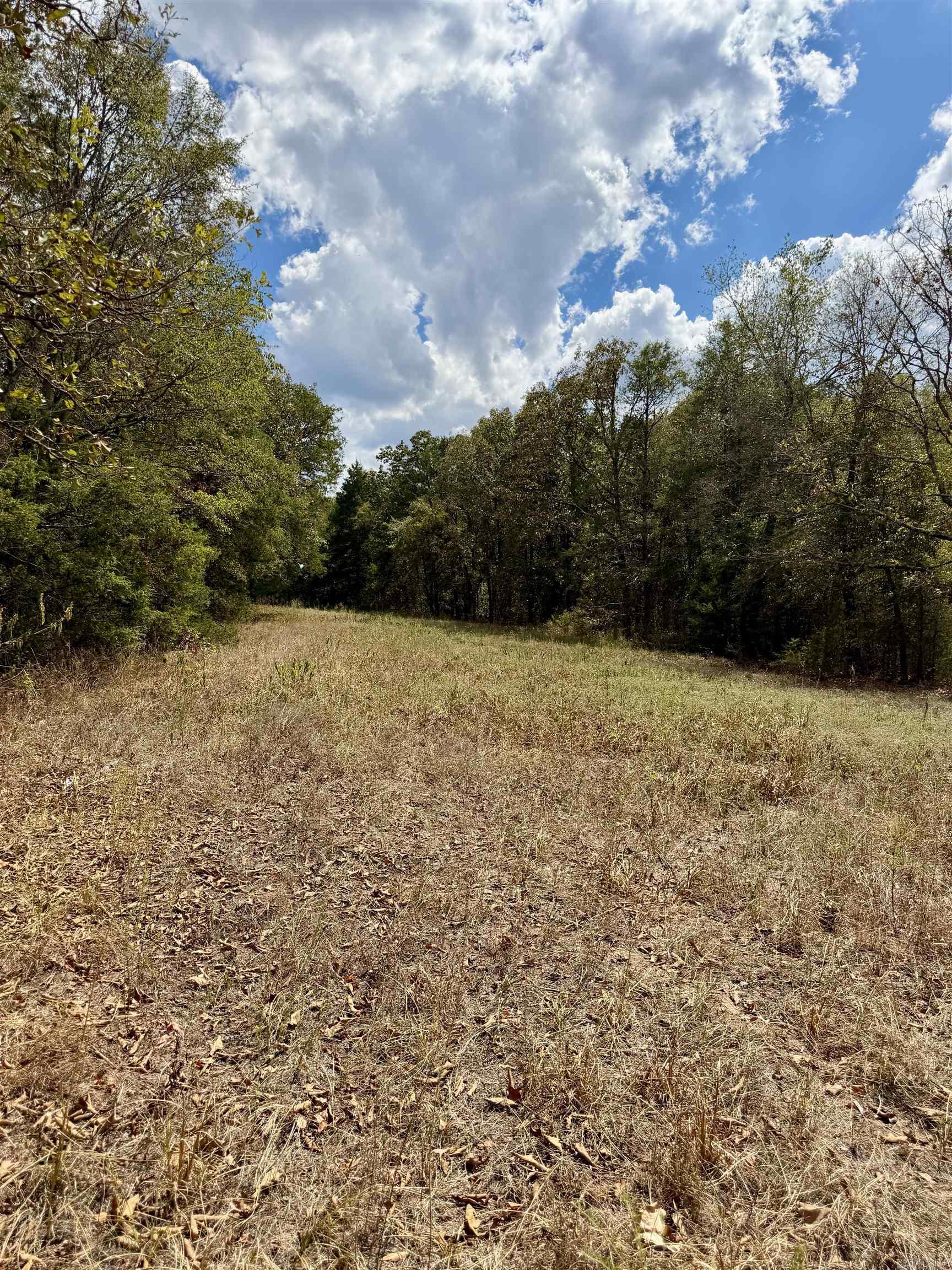 8.29 Acres Whitson Lane (tract 1) Property Photo 9