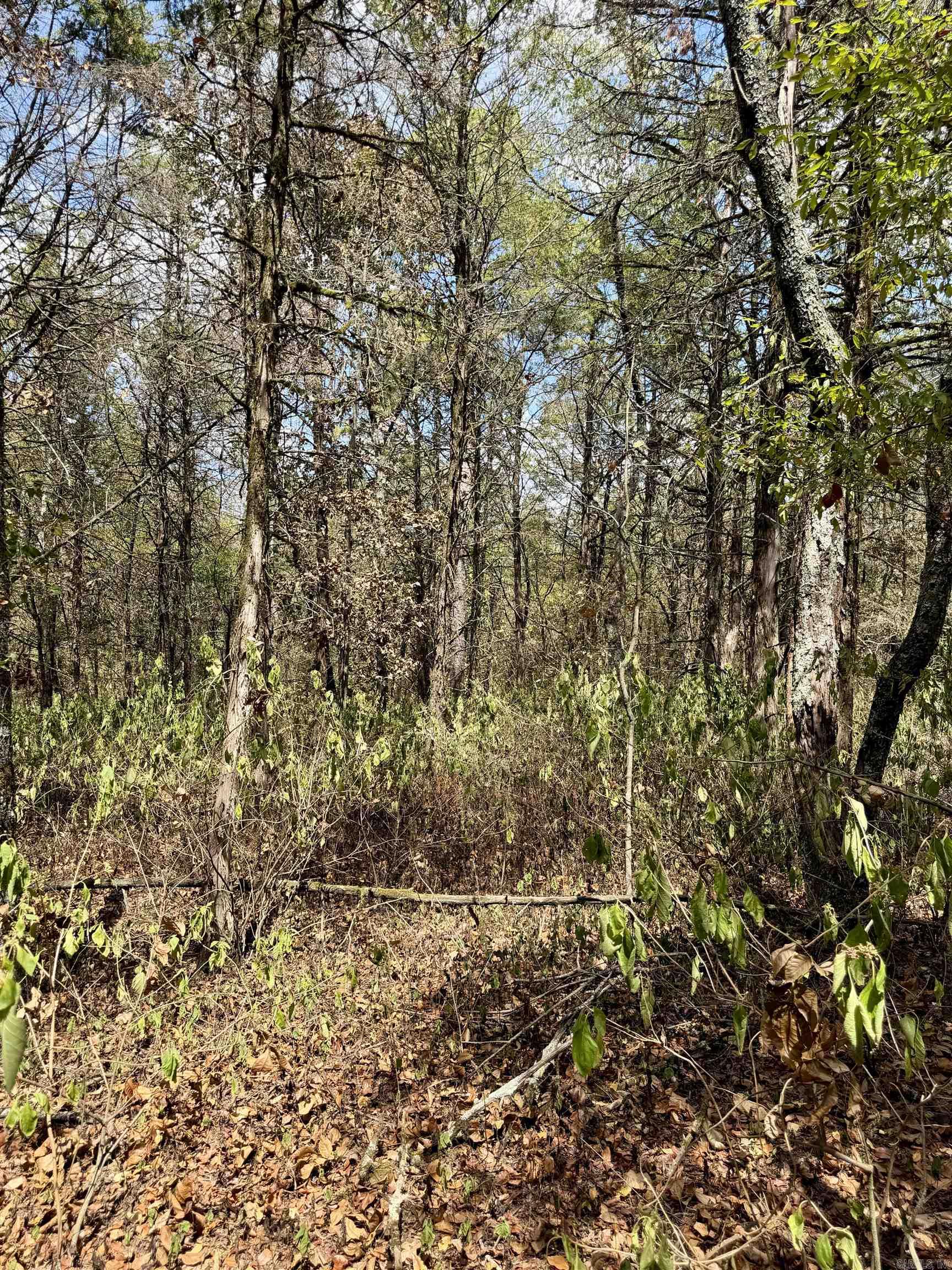 8.29 Acres Whitson Lane (tract 1) Property Photo 13