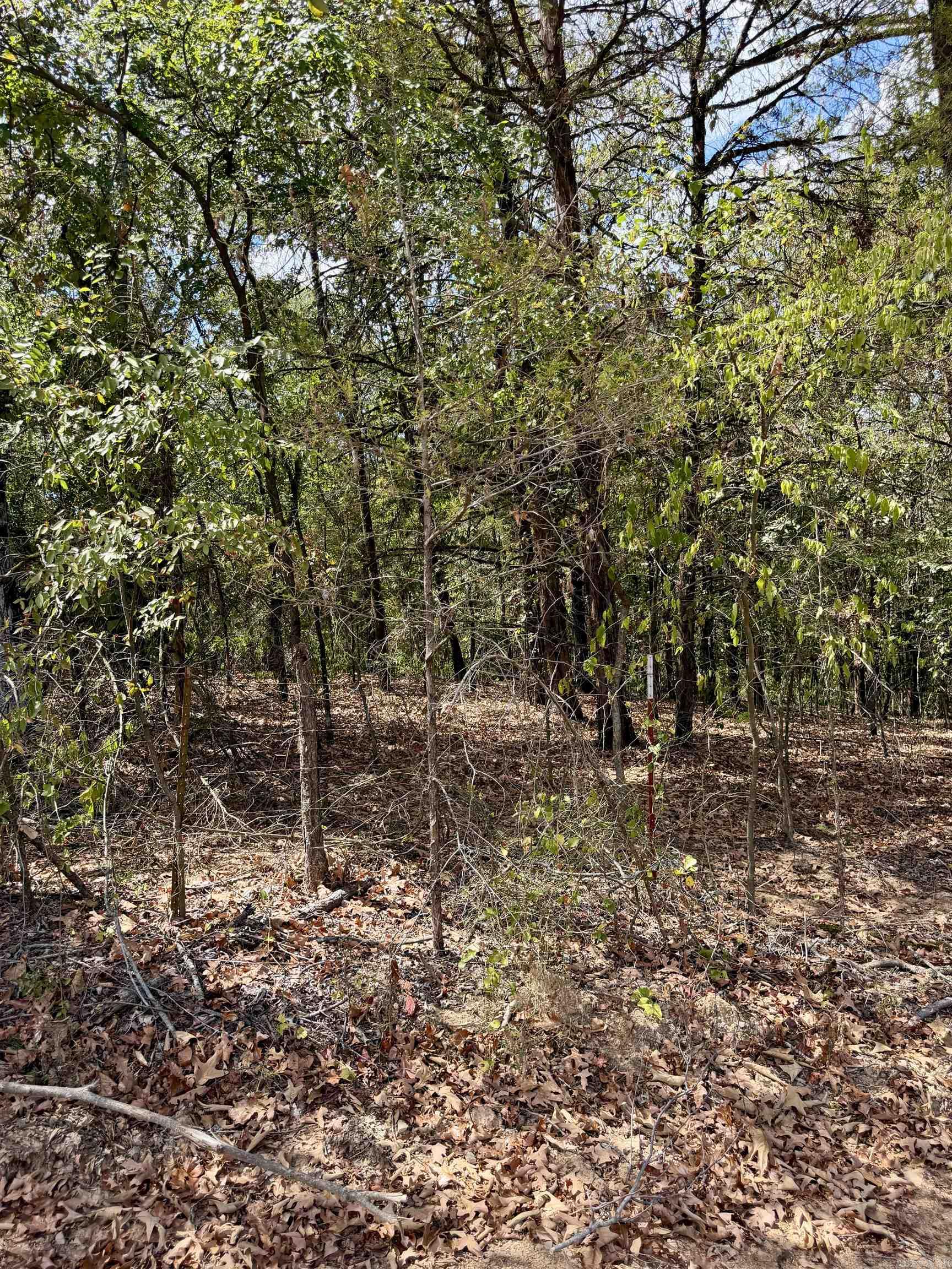 8.29 Acres Whitson Lane (tract 3) Property Photo 8