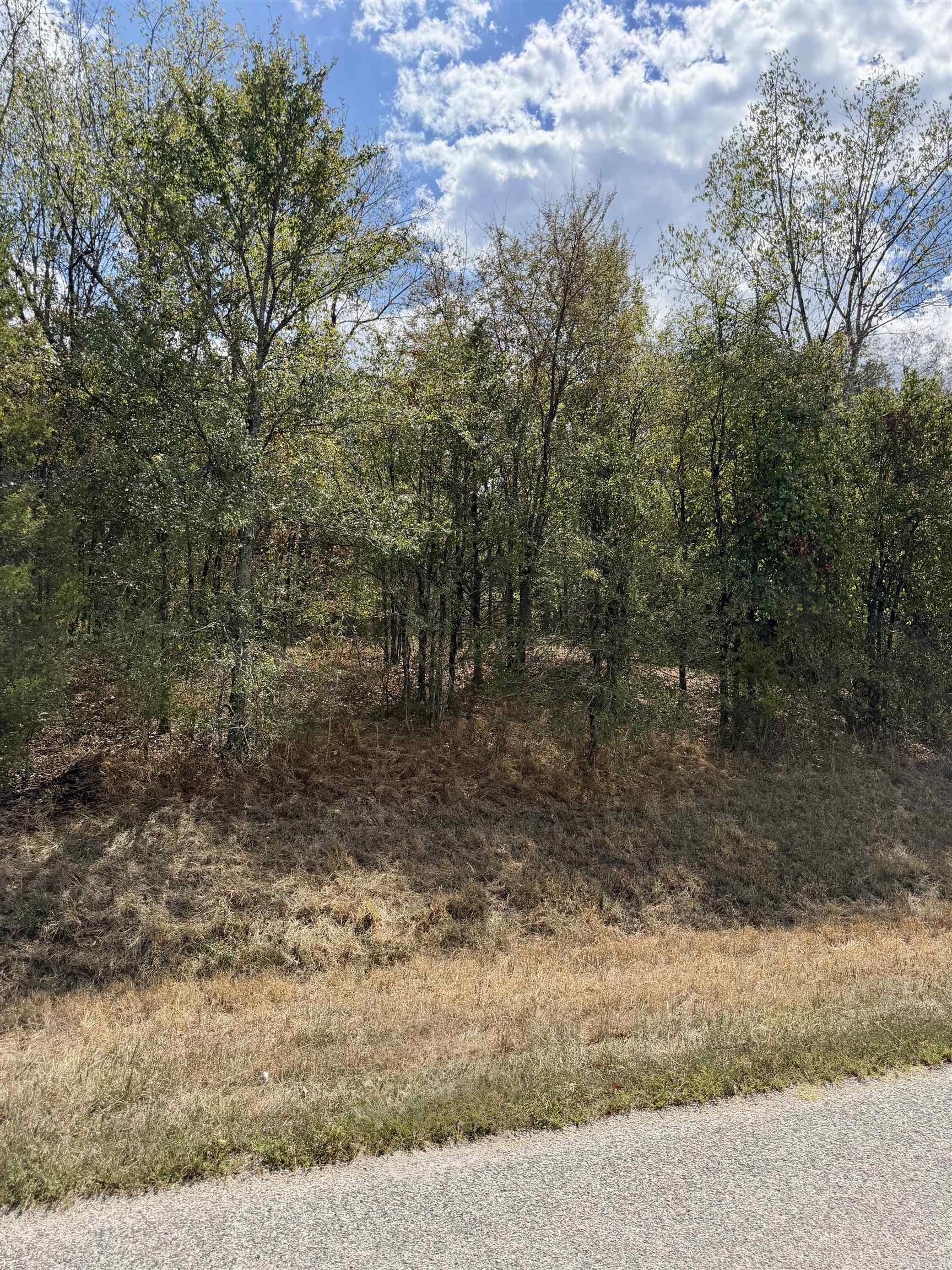8.29 Acres Whitson Lane (tract 3) Property Photo 10