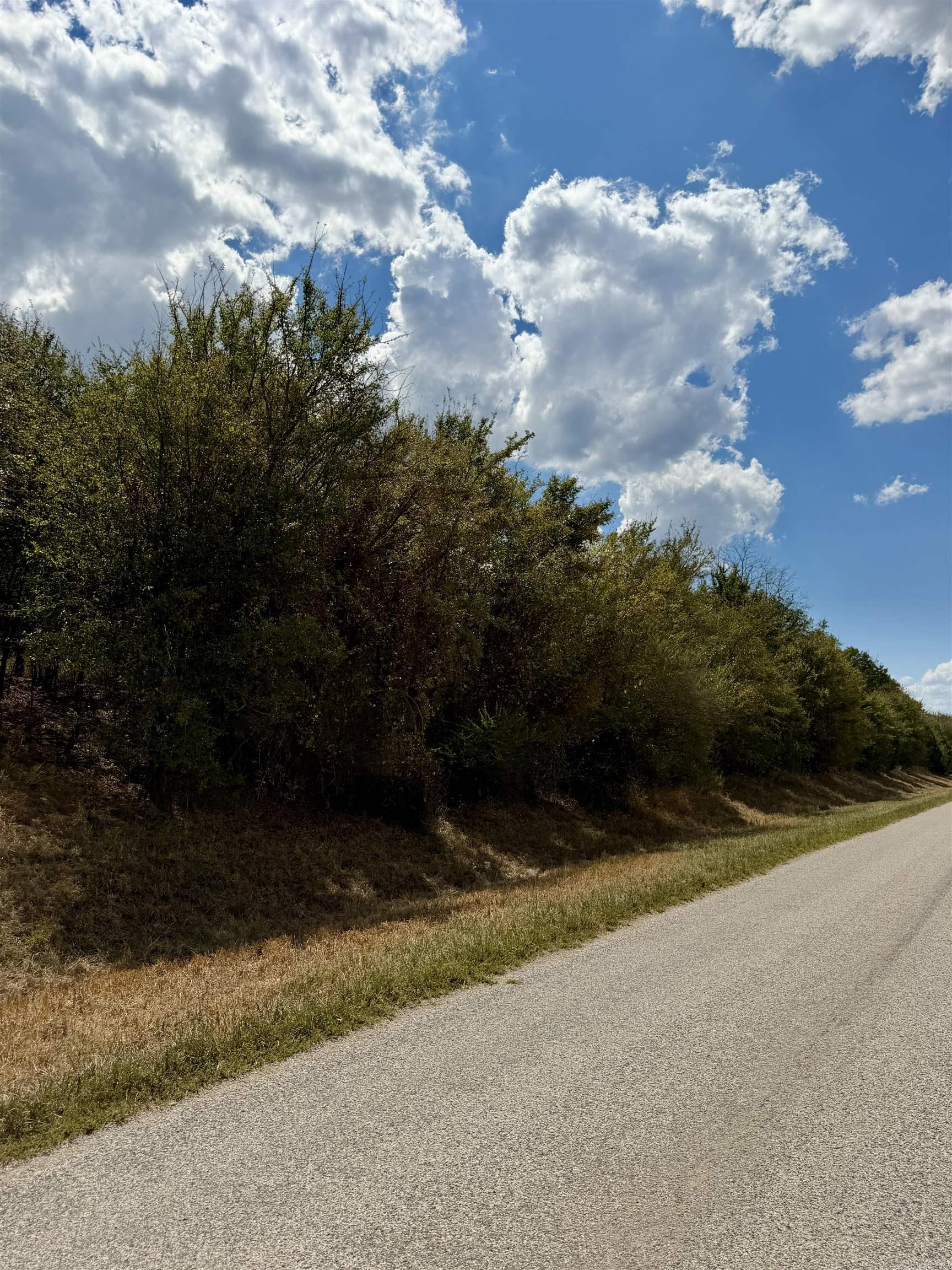 8.29 Acres Whitson Lane (tract 3) Property Photo 11