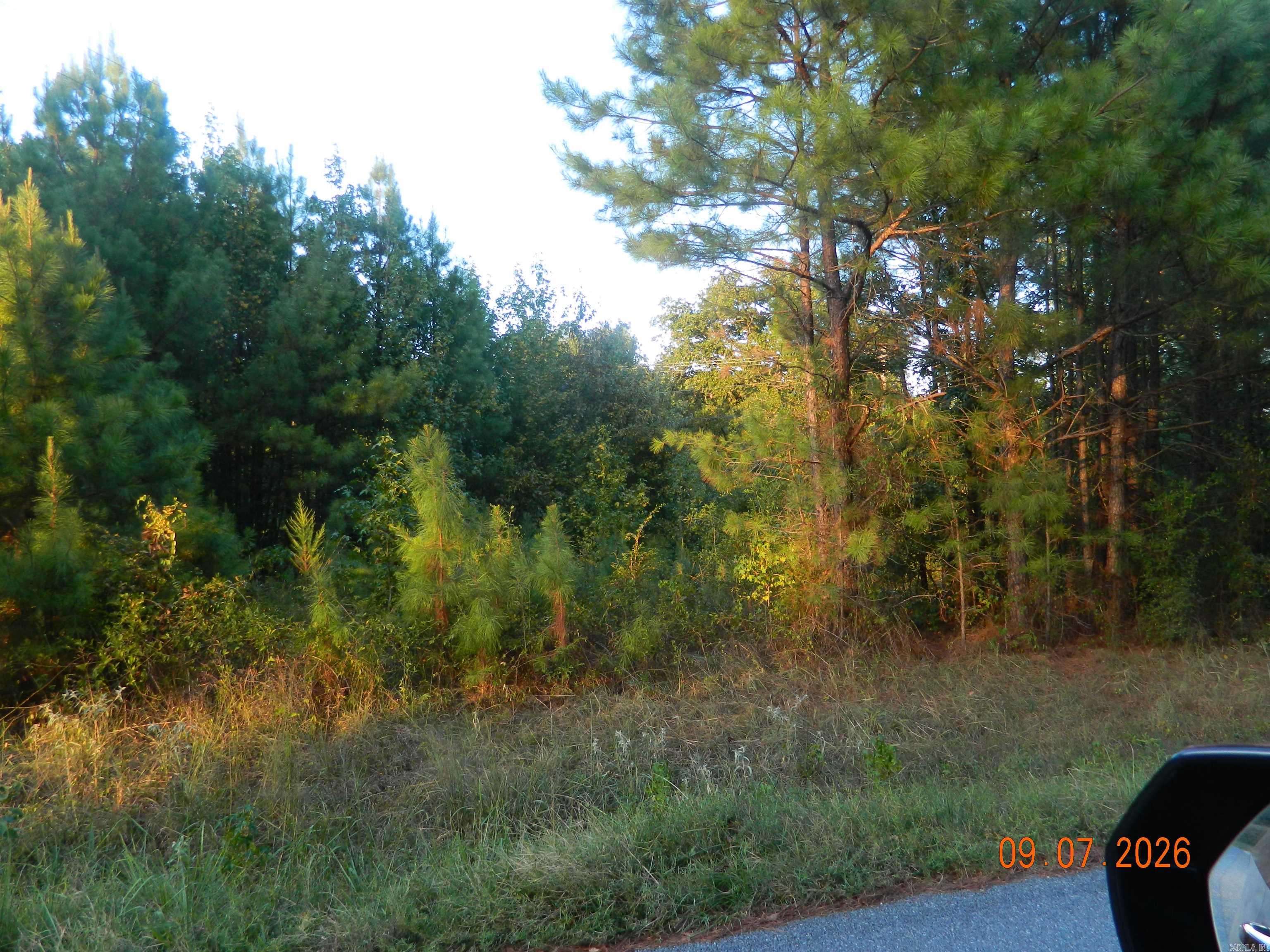 32 Robert Lee Drive Drive Property Photo 4