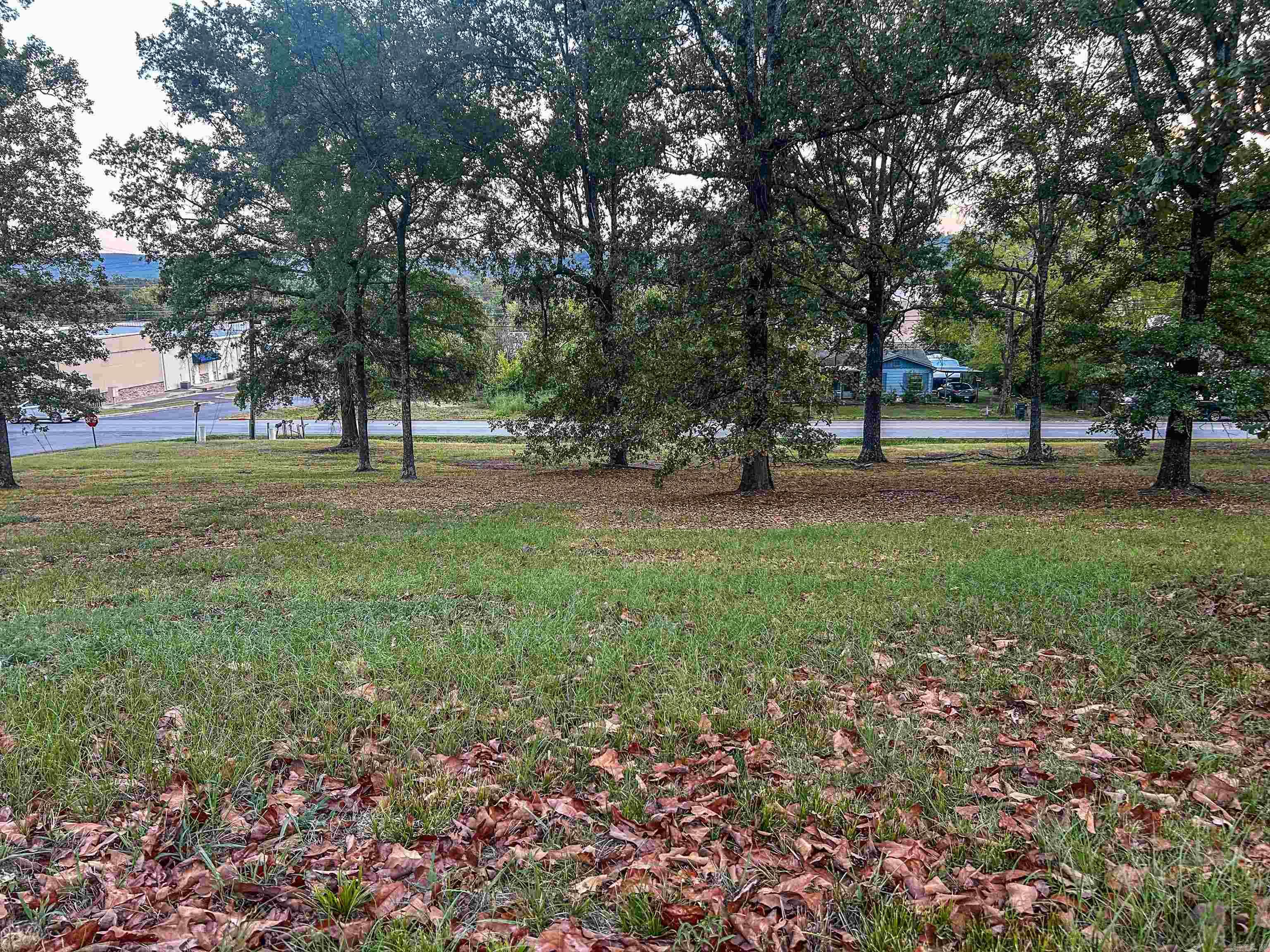 105 Ennis Street Property Photo 17