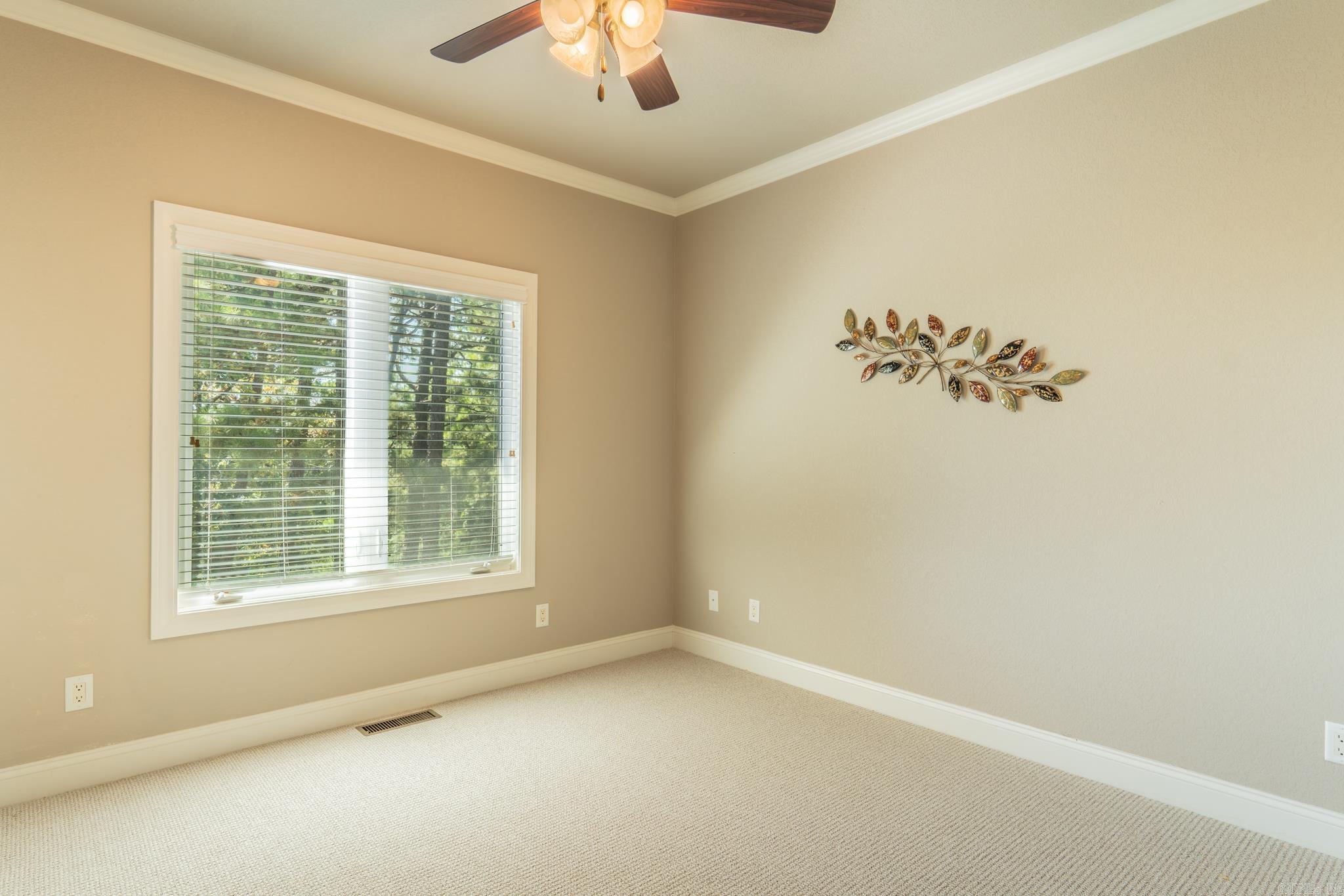 137 Mesero Way Property Photo 26