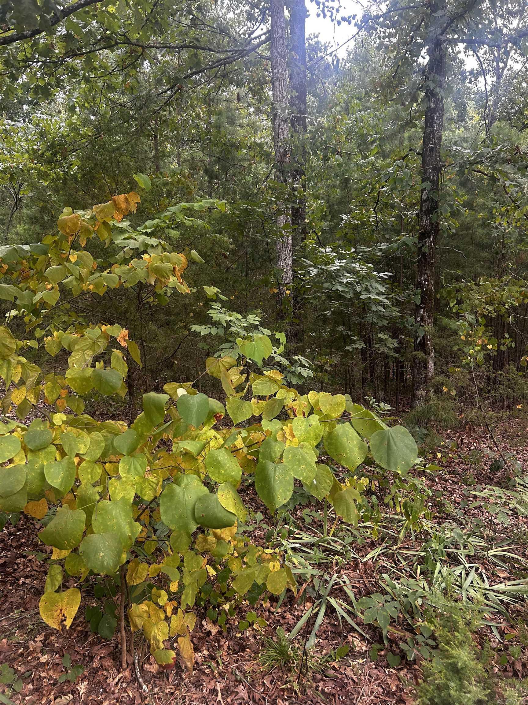 1223 Mill Creek Road Property Photo 1