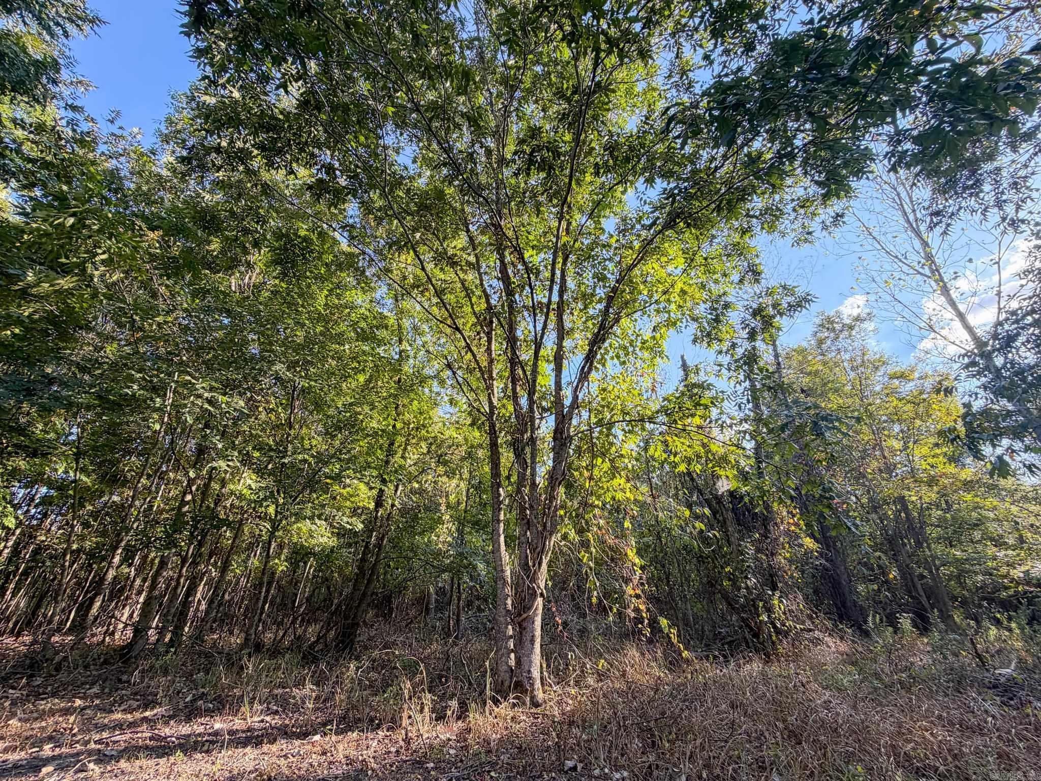 Pc 604 Property Photo 4