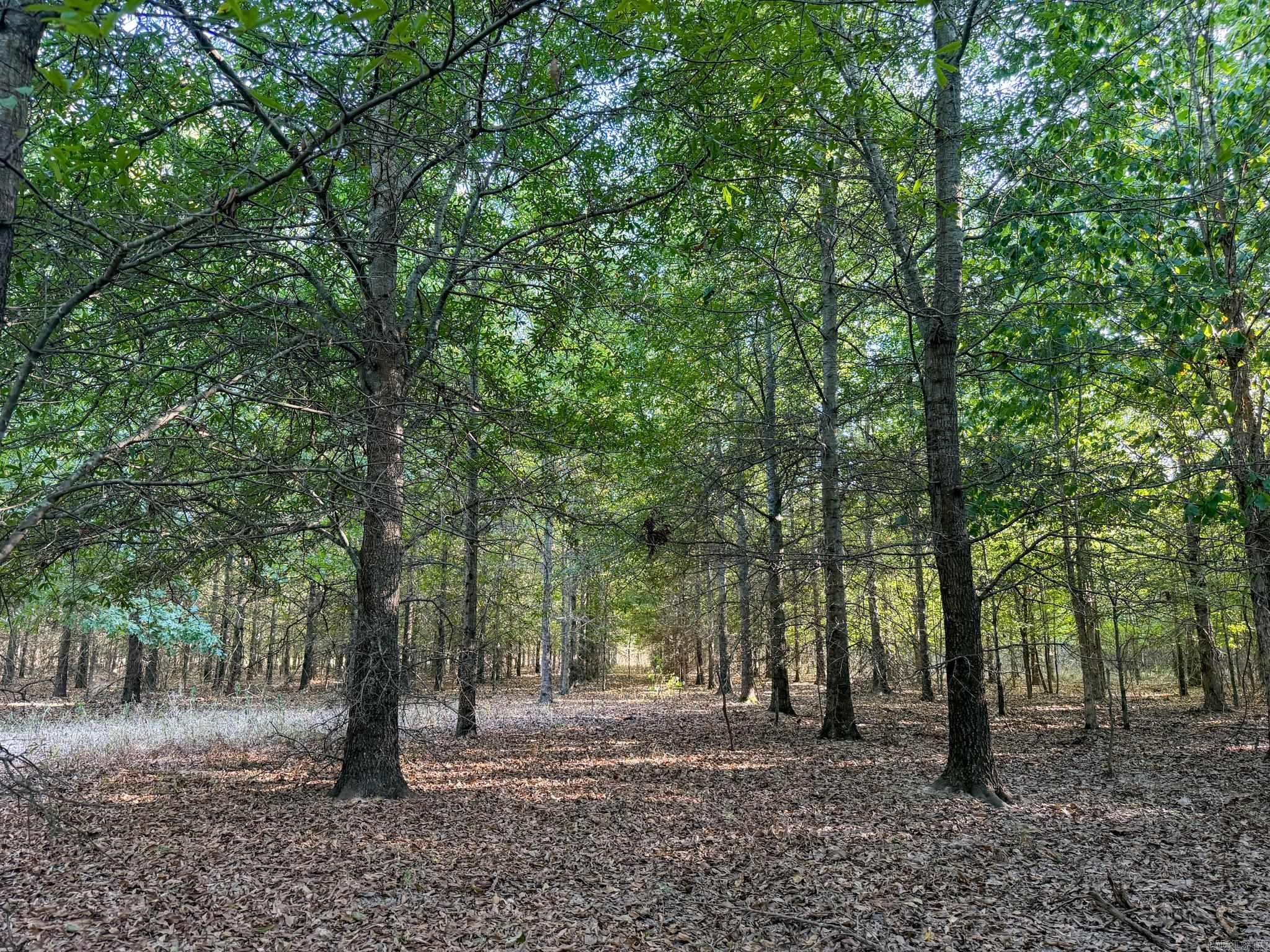 Pc 604 Property Photo 5