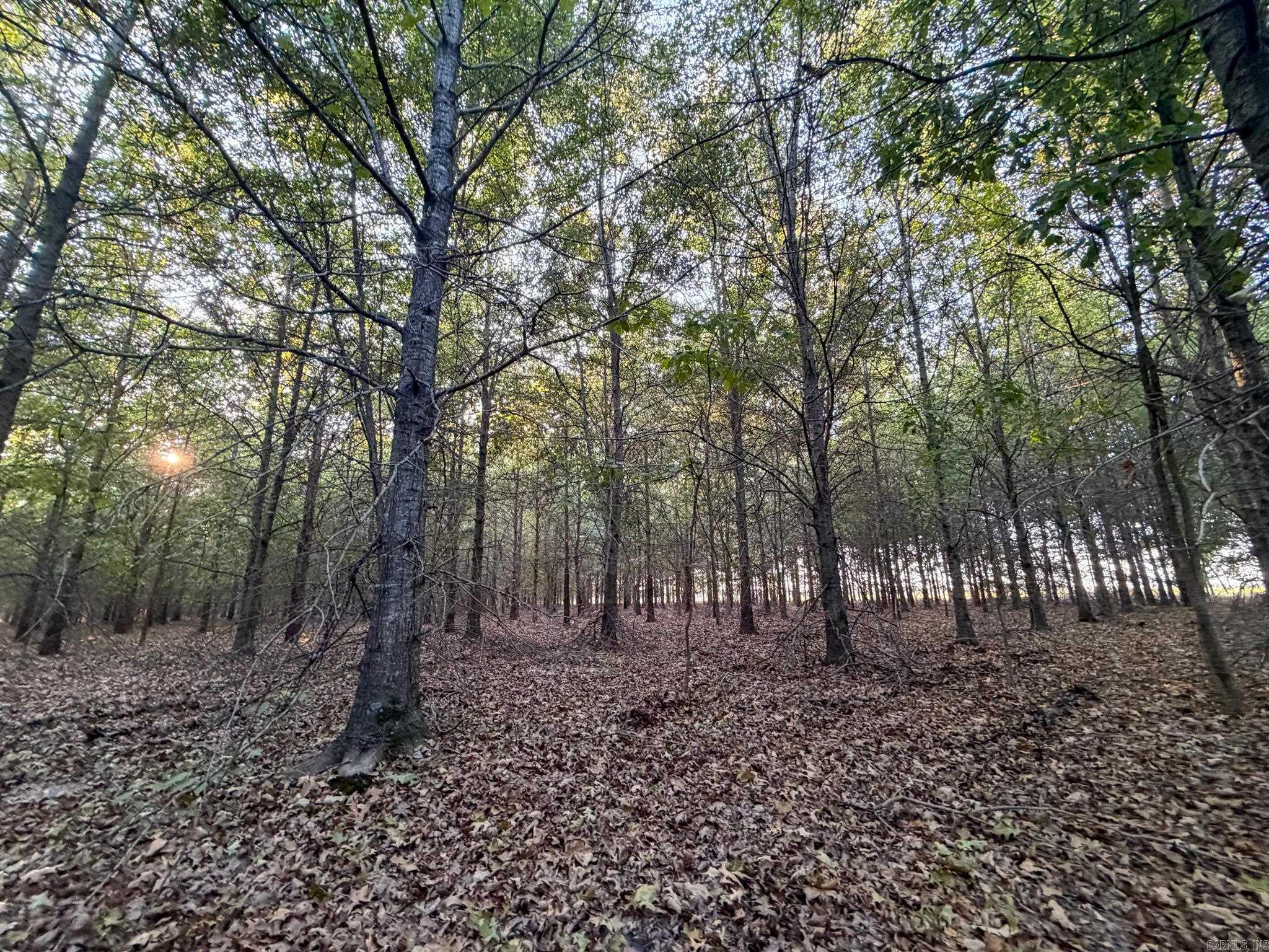 Pc 604 Property Photo 7