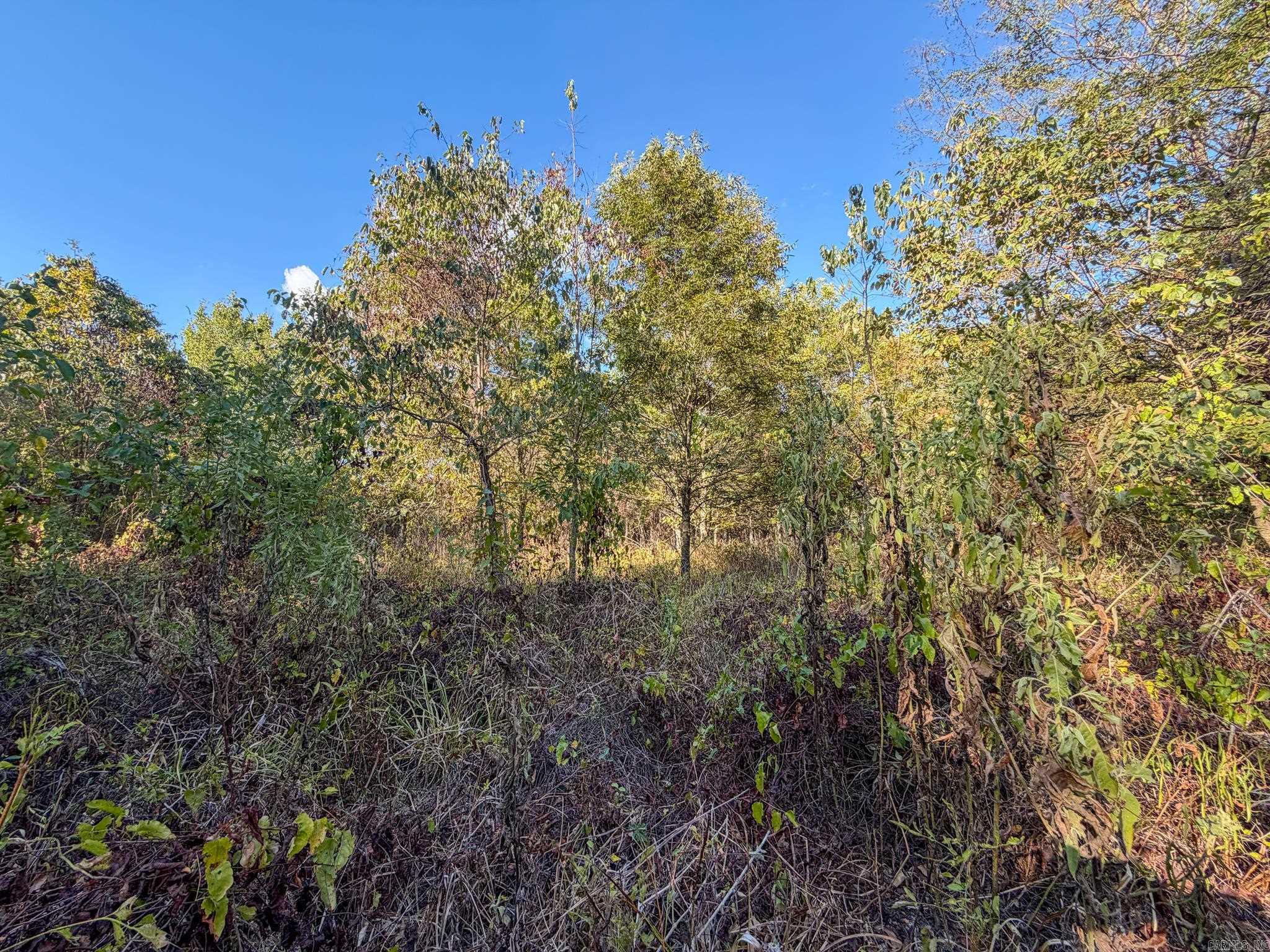 Pc 604 Property Photo 12