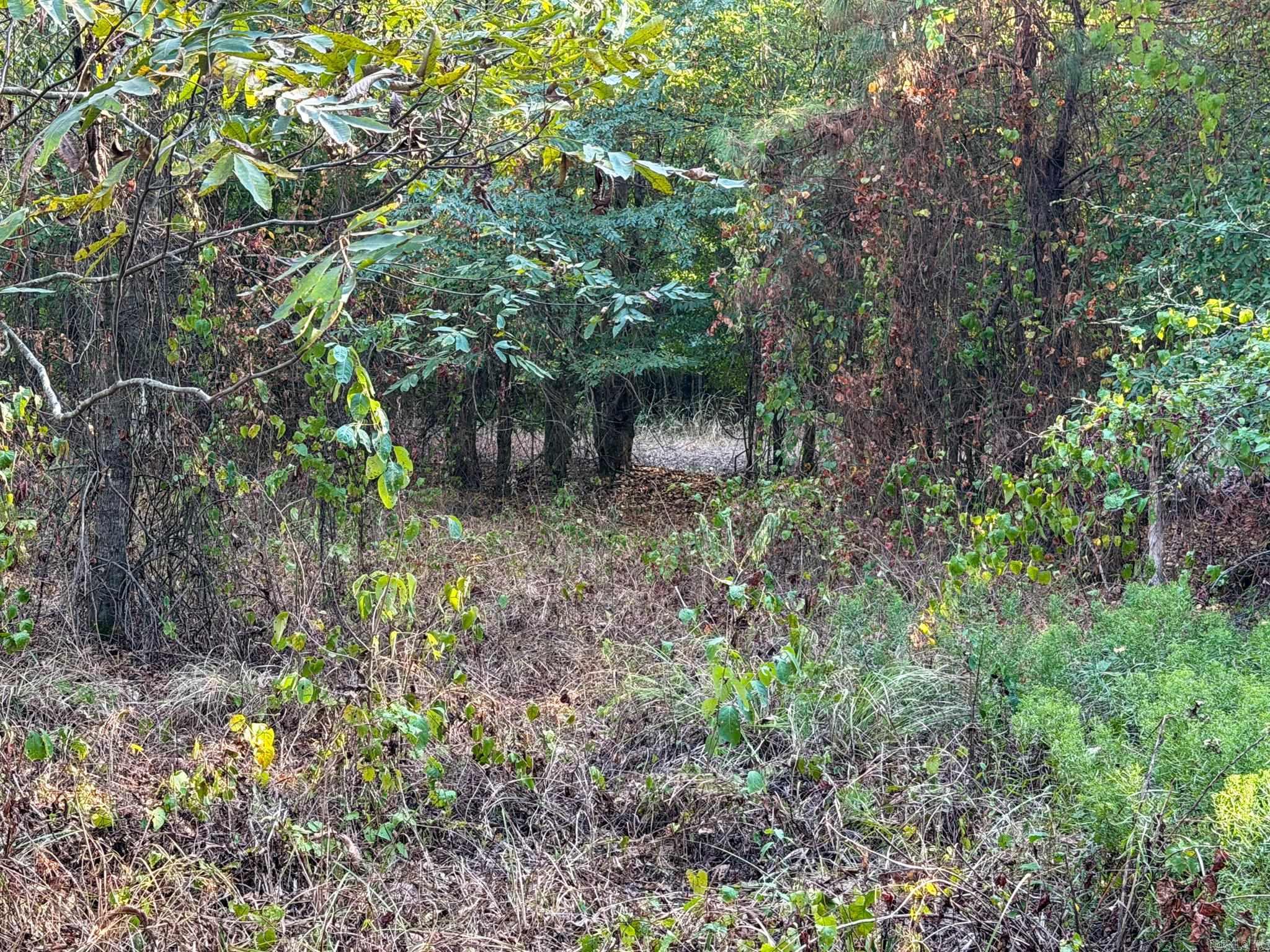 Pc 604 Property Photo 17