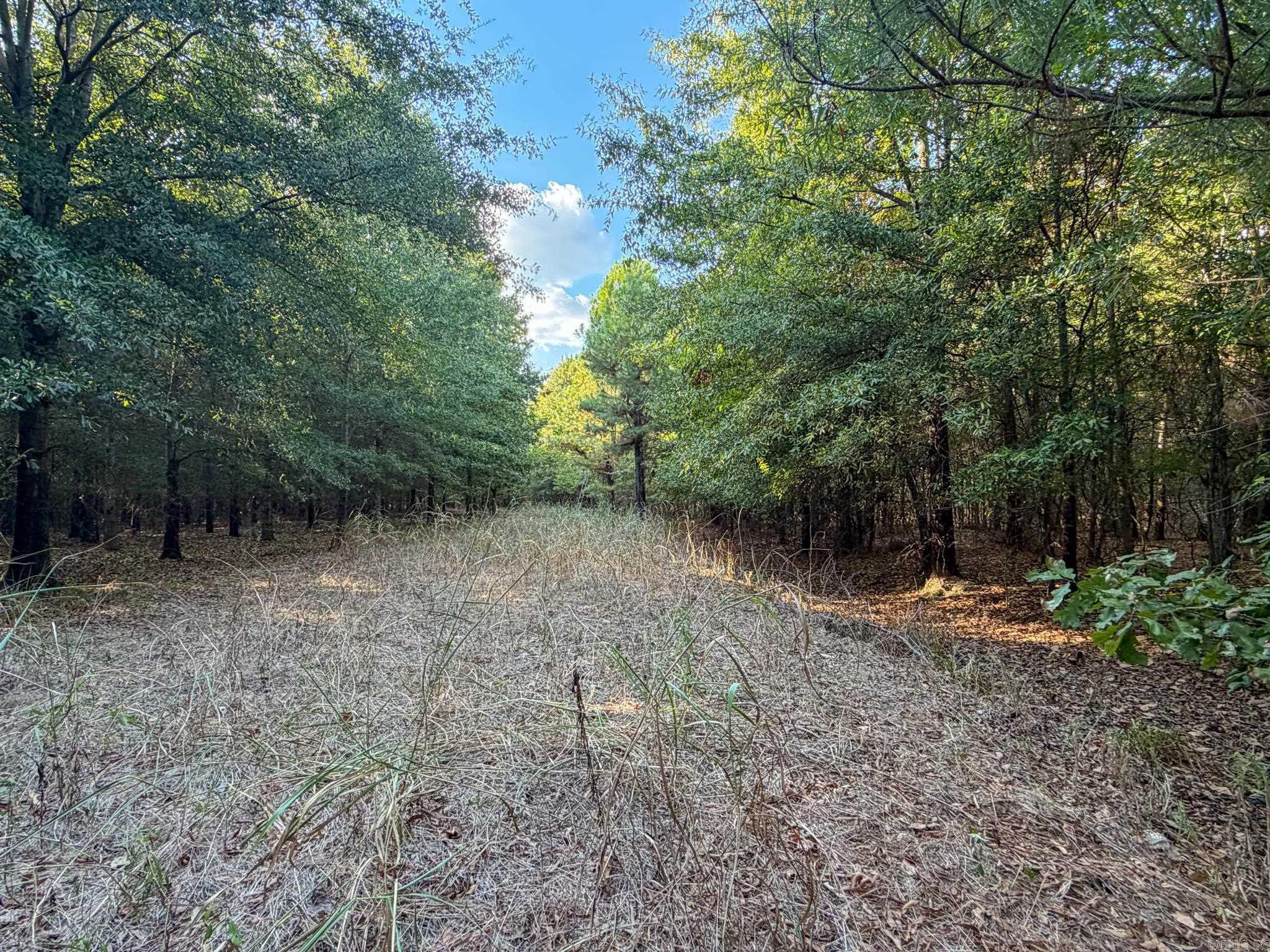Pc 604 Property Photo 18