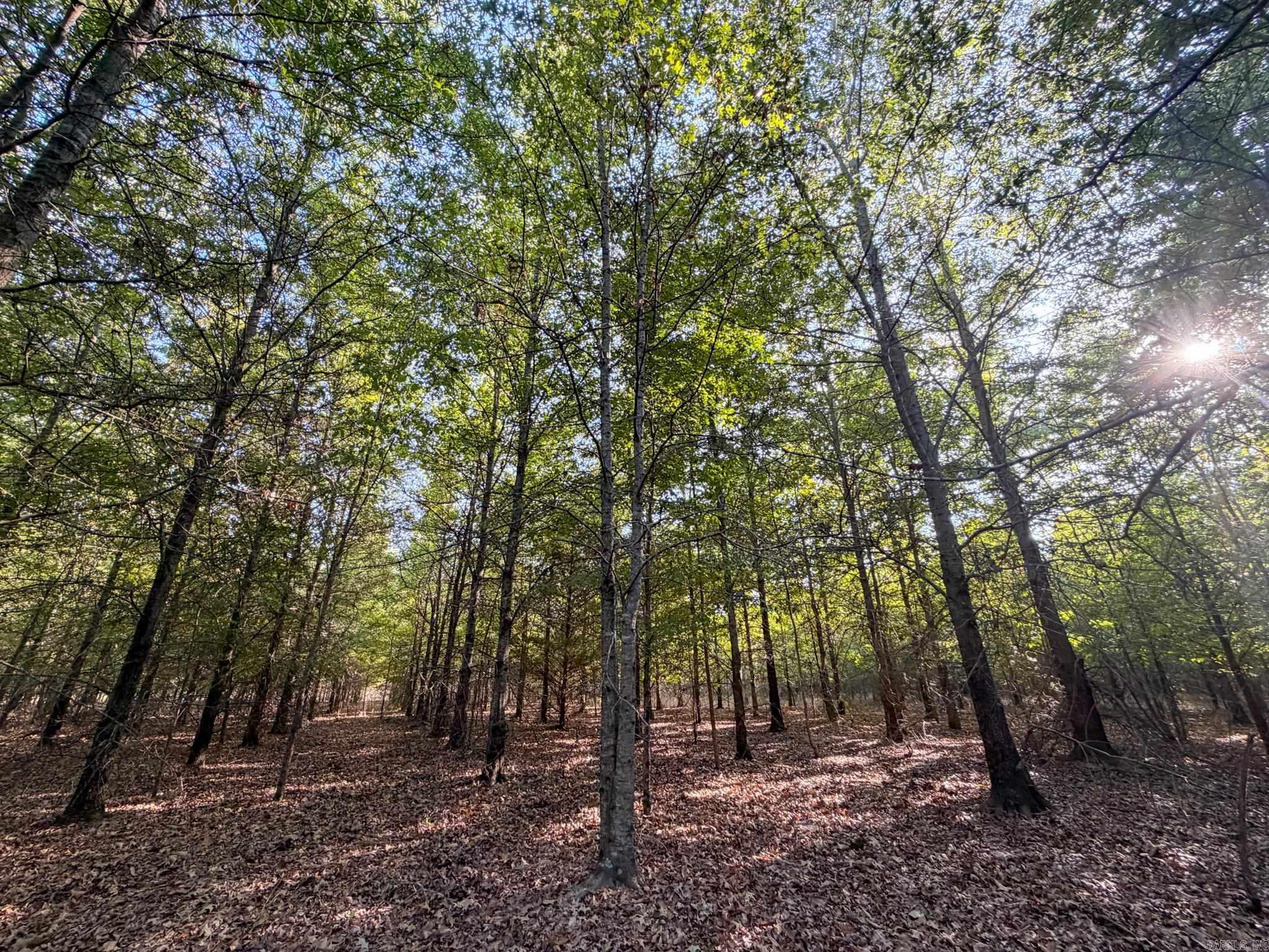 Pc 604 Property Photo 21