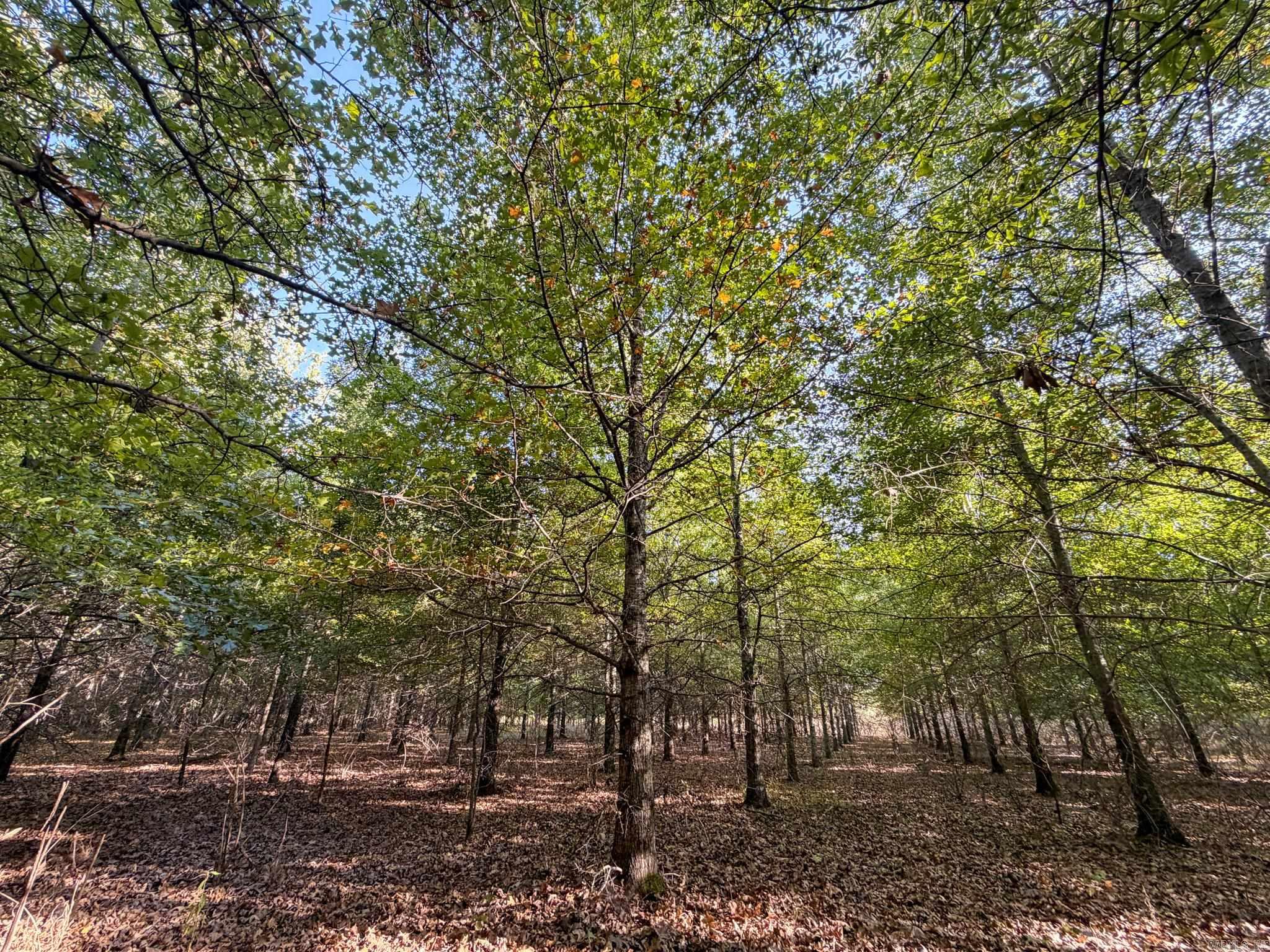 Pc 604 Property Photo 22