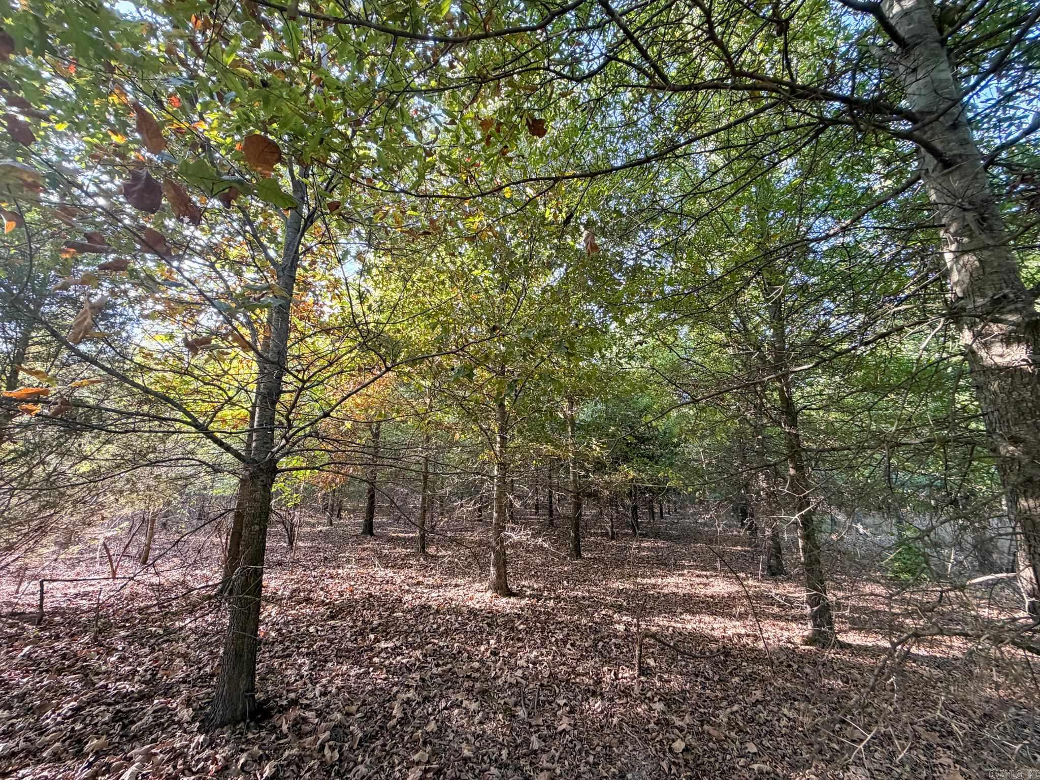 Pc 604 Property Photo 23