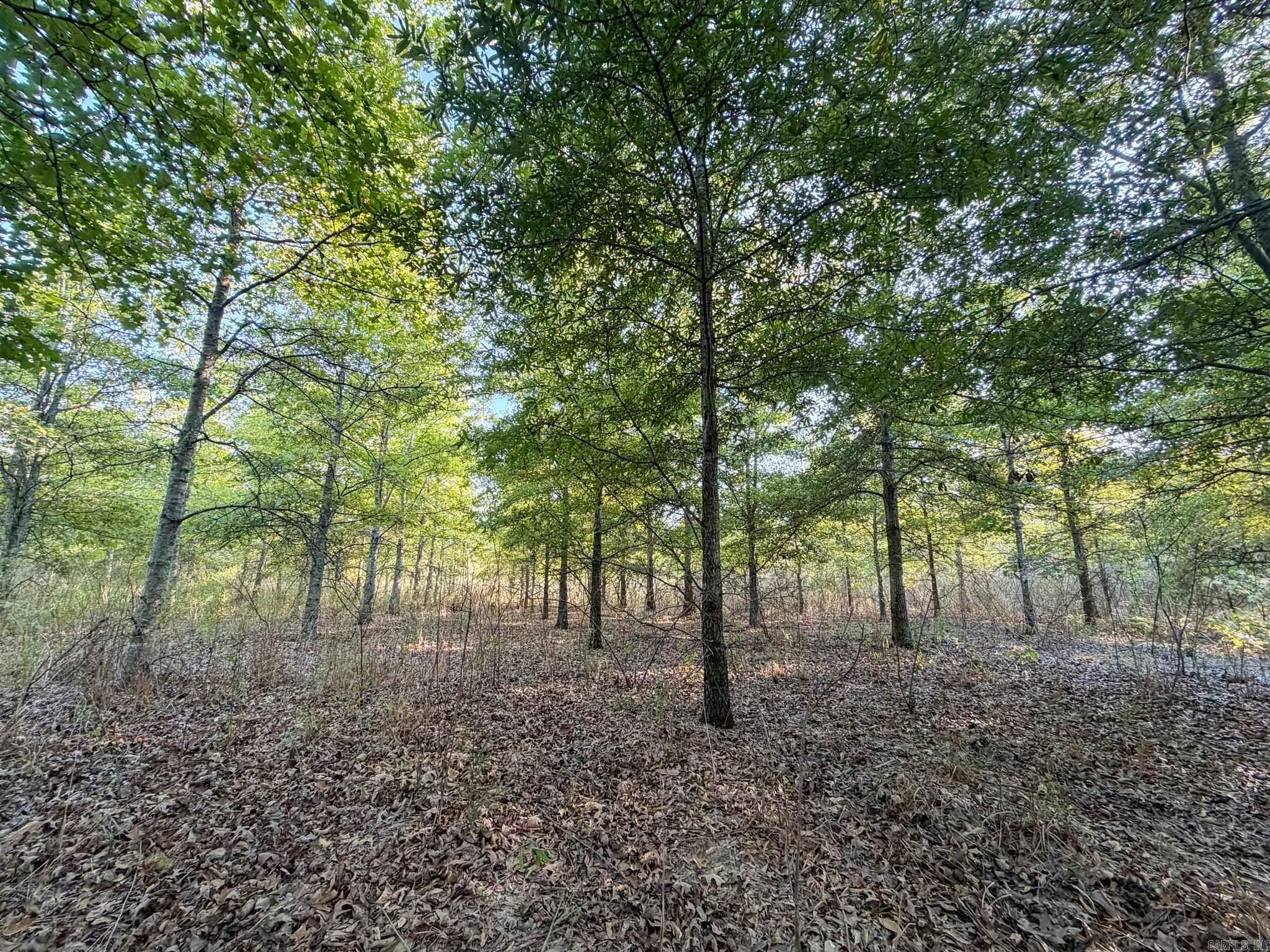 Pc 604 Property Photo 33