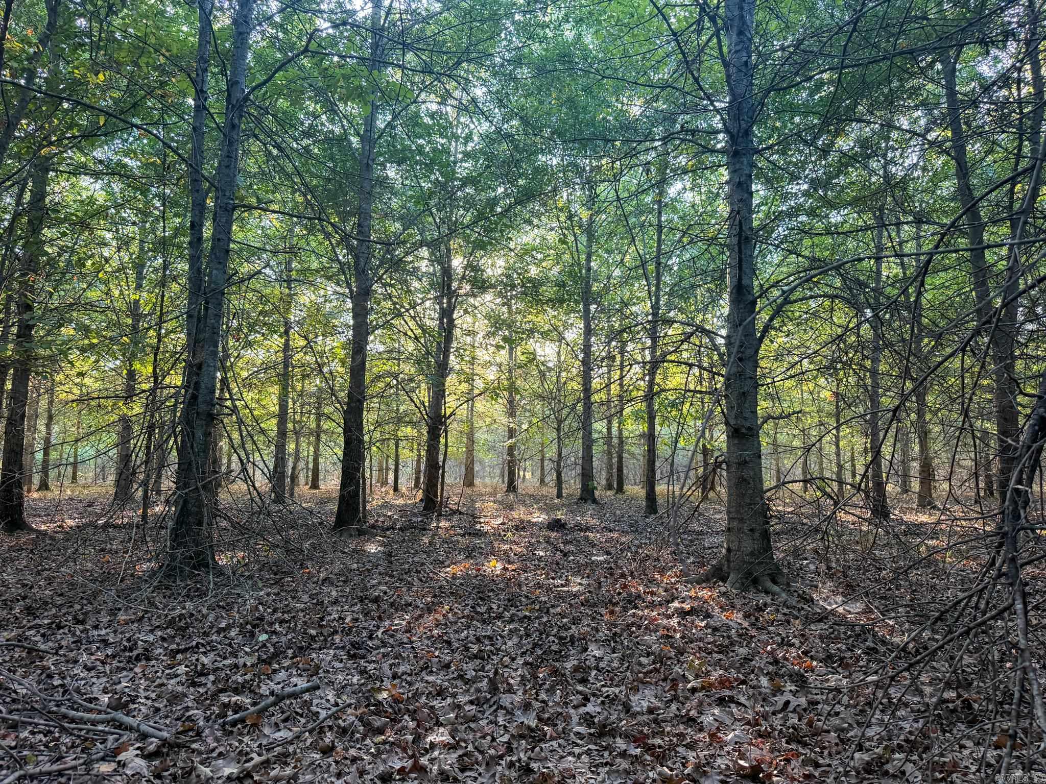 Pc 604 Property Photo 36