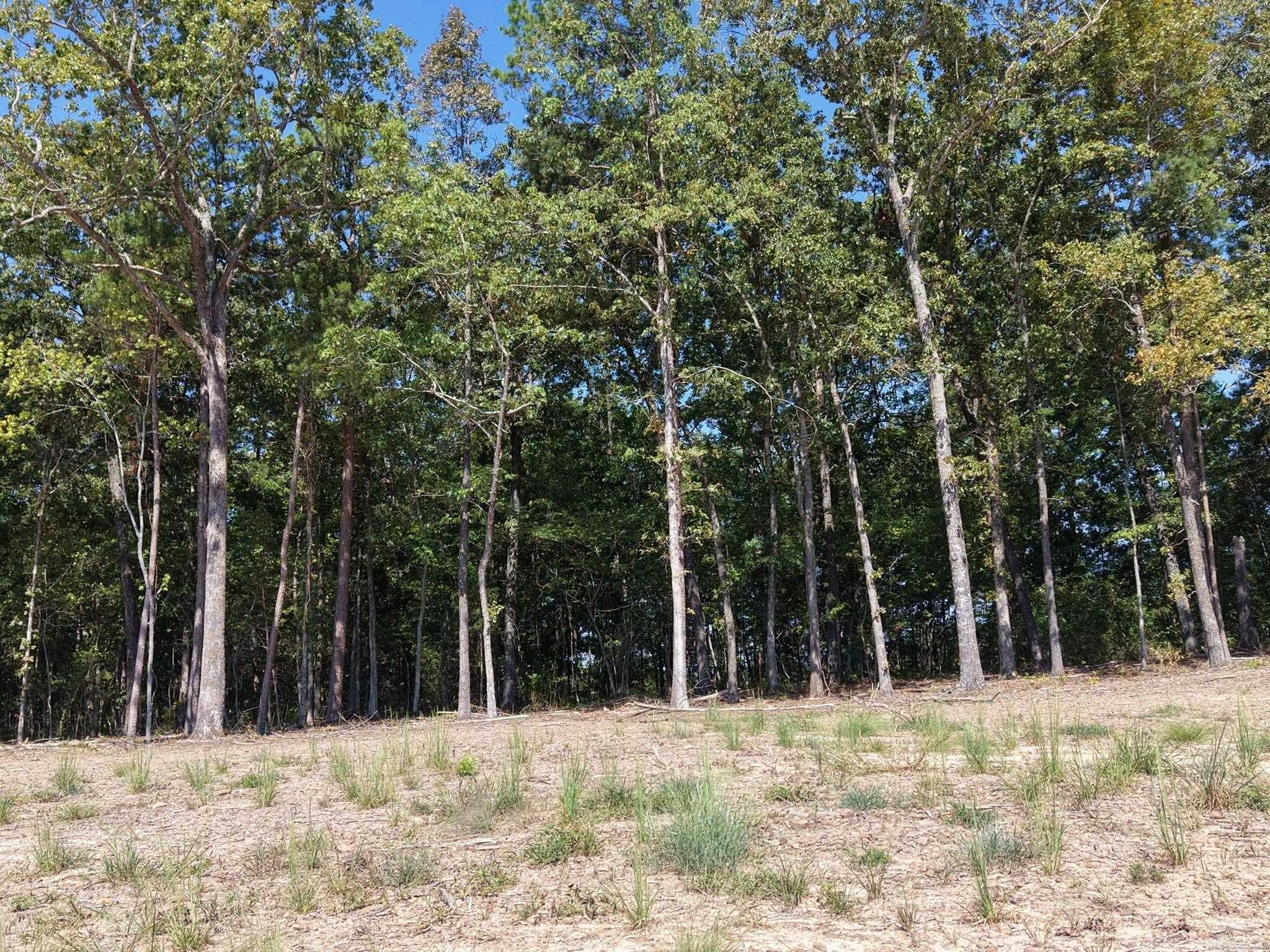 N 65 Highway Property Photo 6