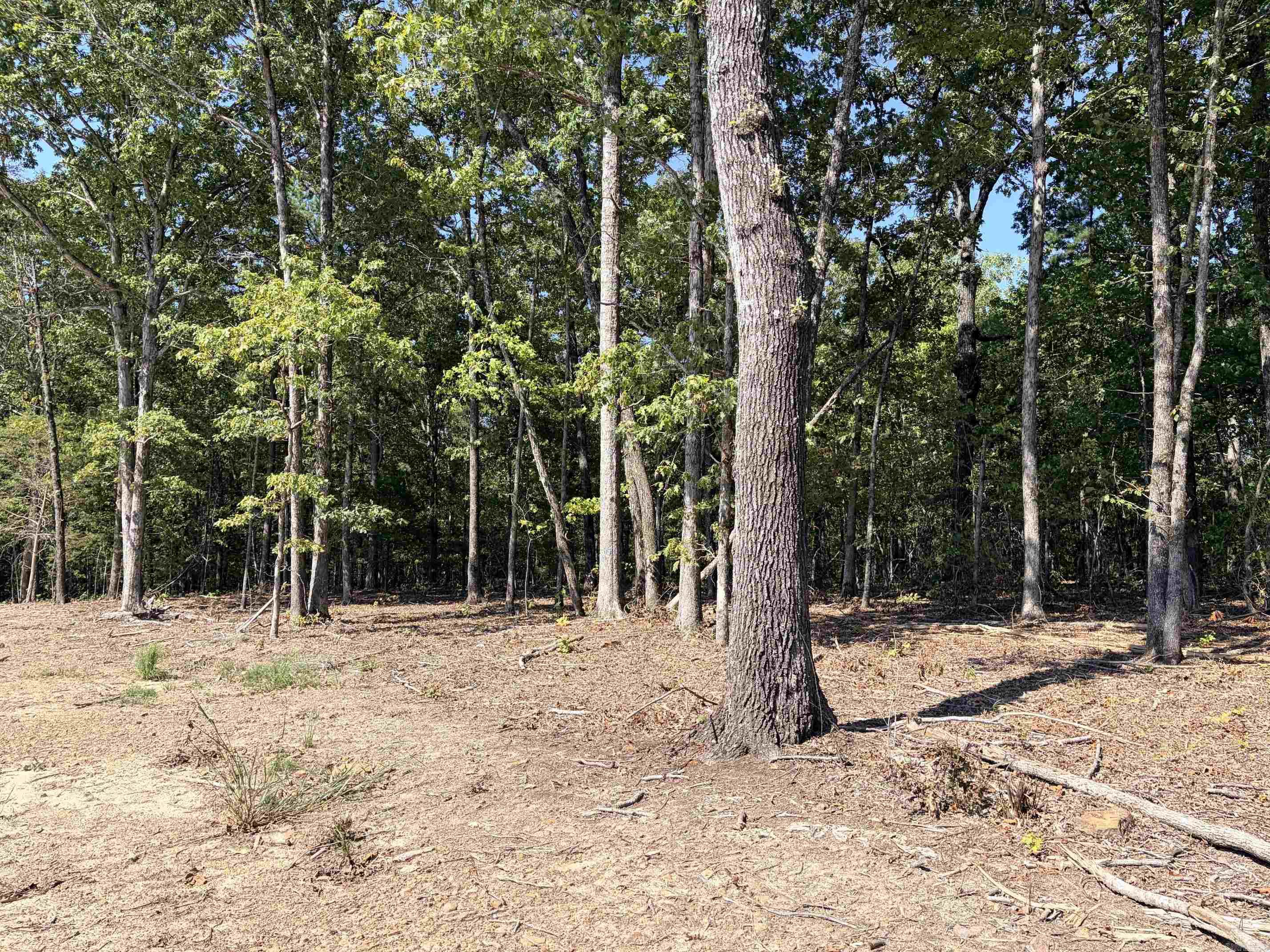 N 65 Highway Property Photo 17