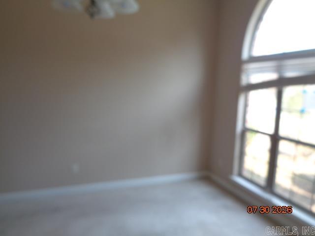 3172 Austin Bayside Drive Property Photo 5
