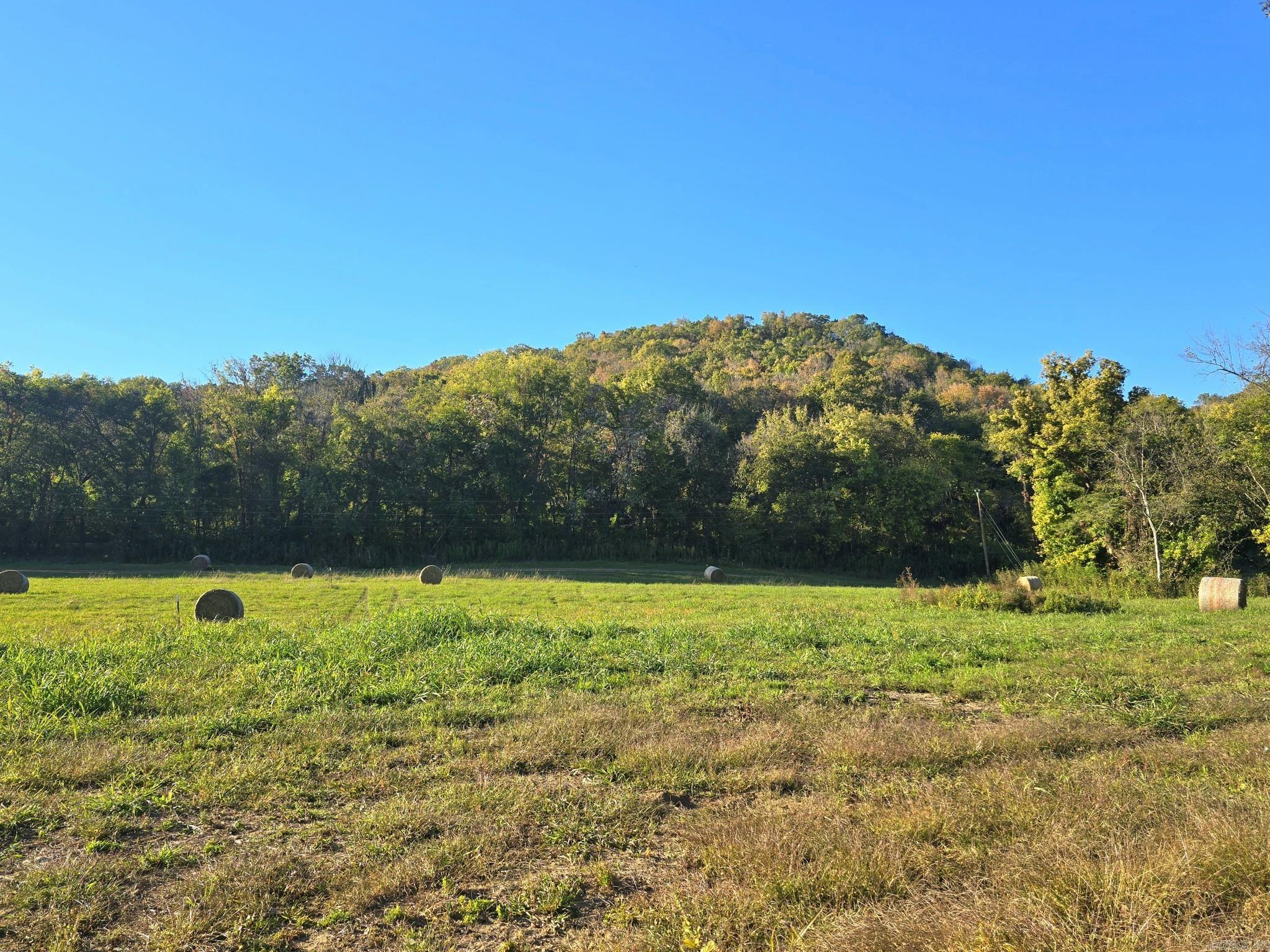 Tbd W School House Hollow Road Property Photo 3