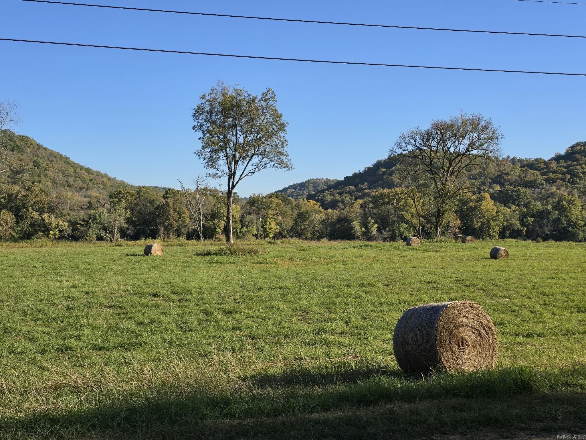 Tbd W School House Hollow Road Property Photo 4