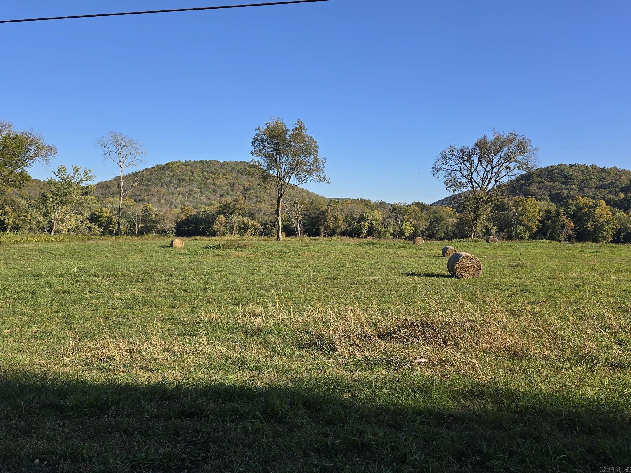 Tbd W School House Hollow Road Property Photo 5