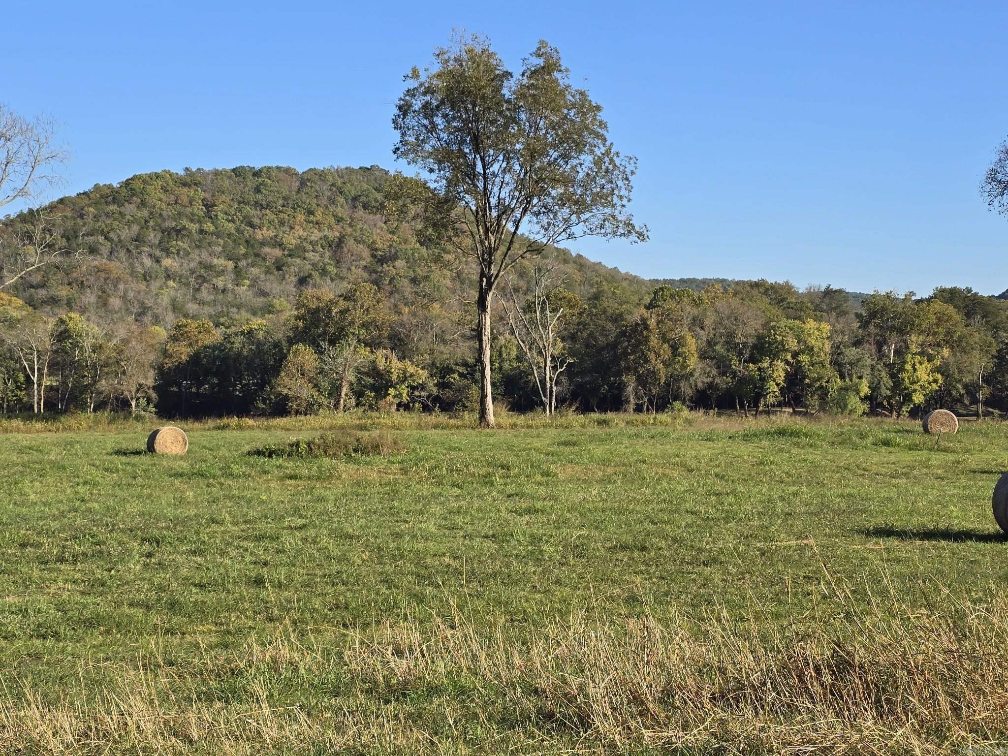 Tbd W School House Hollow Road Property Photo 6