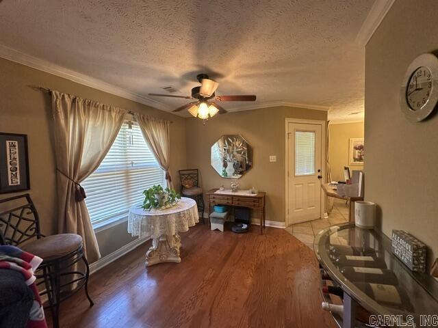 2825 Mcneill Cove Property Photo 5