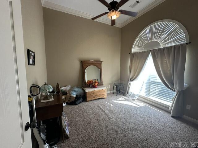 2825 Mcneill Cove Property Photo 15