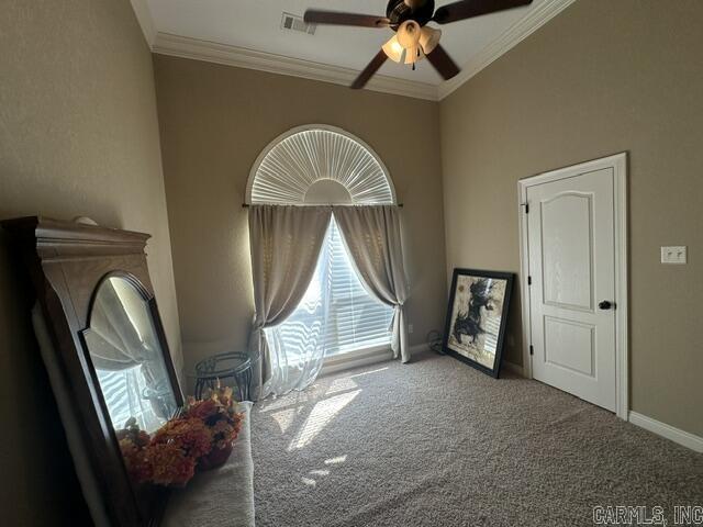 2825 Mcneill Cove Property Photo 16