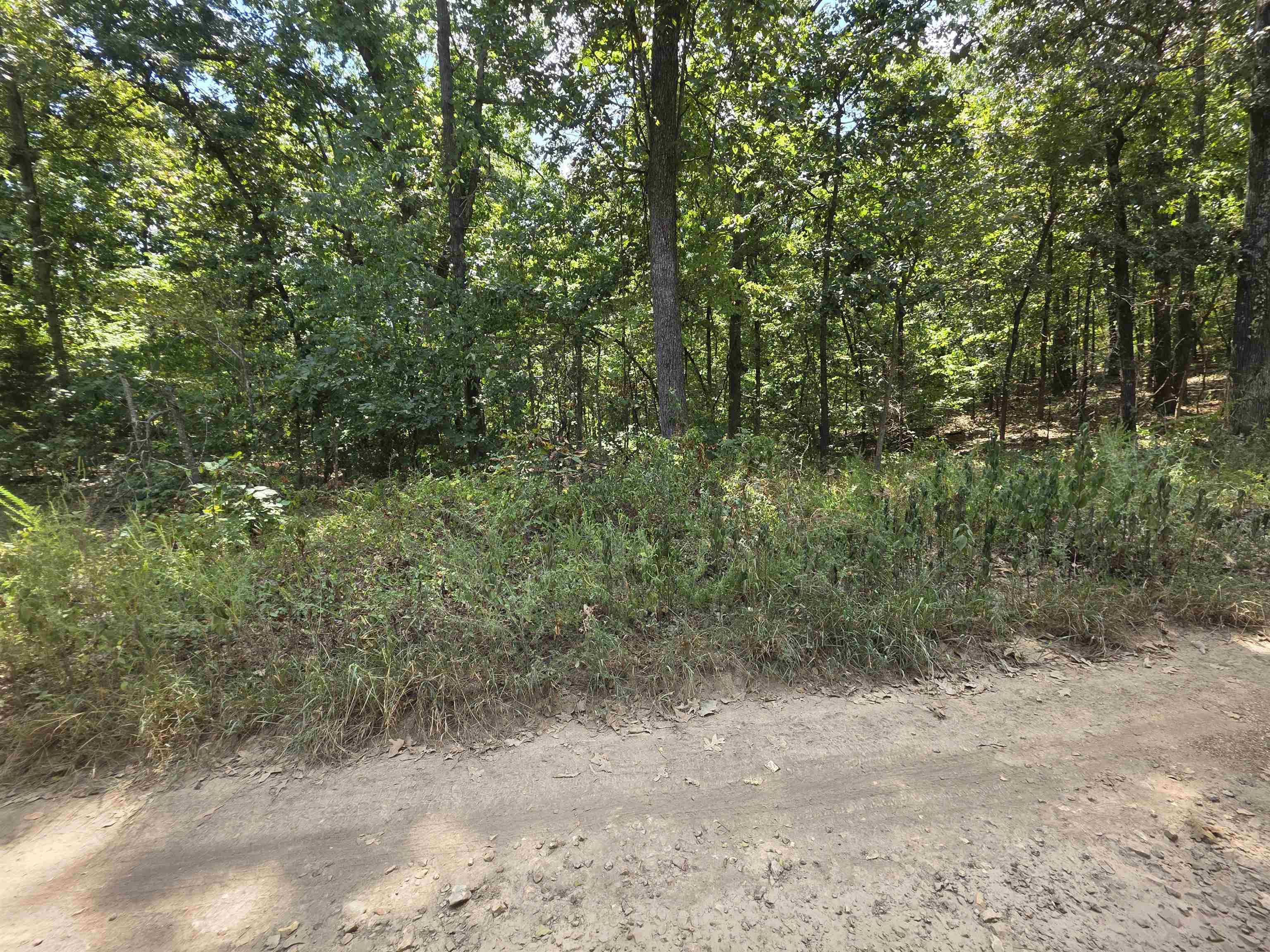 Tbd Multiple Lots Hardy&oa Property Photo 7