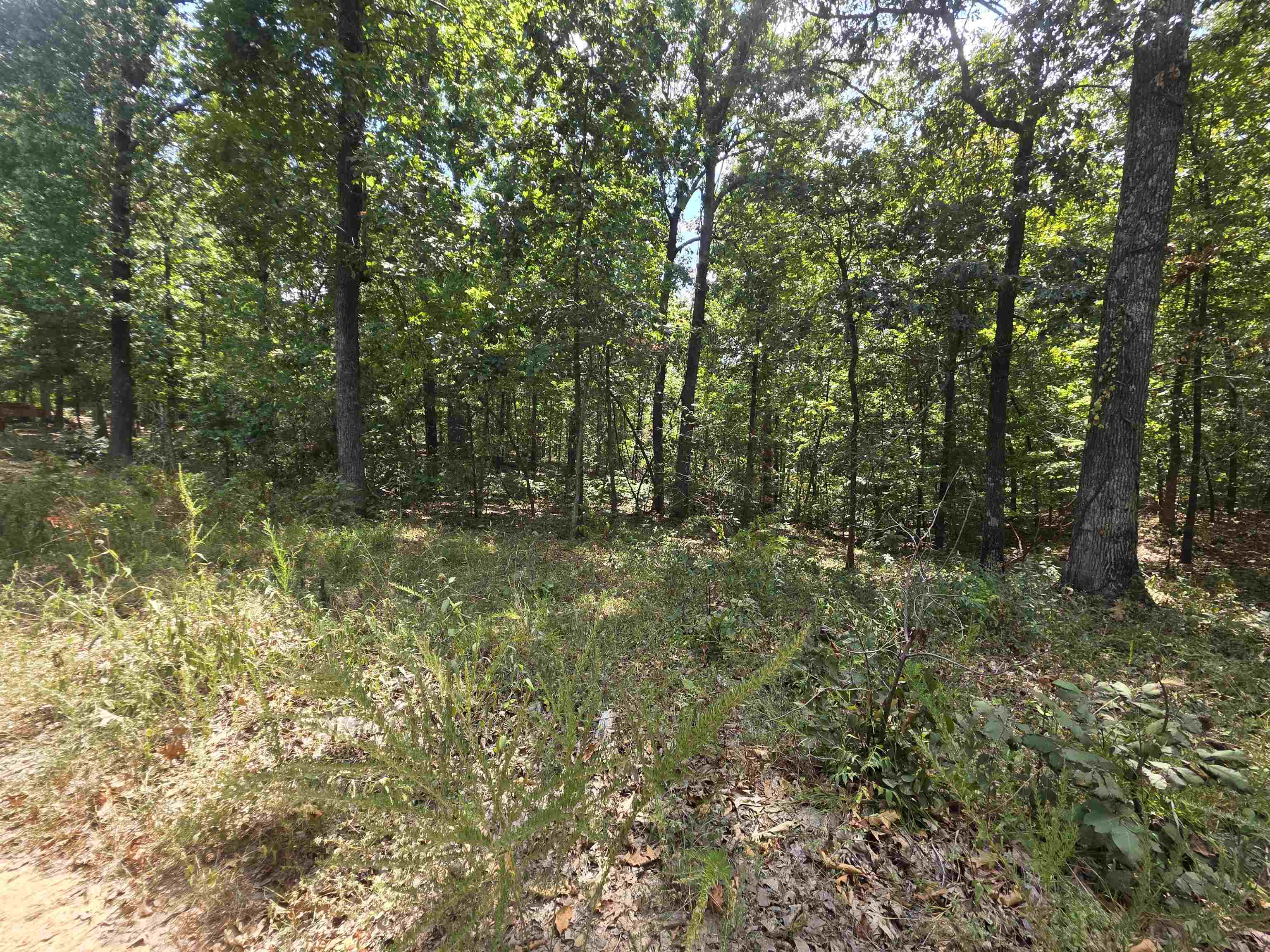Tbd Multiple Lots Hardy&oa Property Photo 9