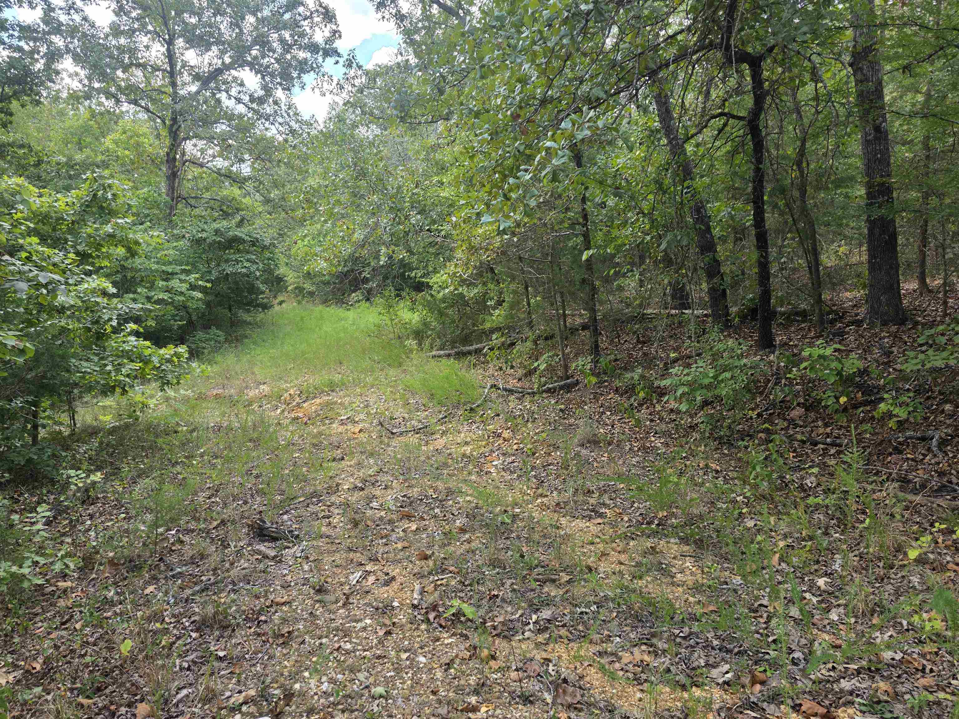 Tbd Multiple Lots Hardy&oa Property Photo 11